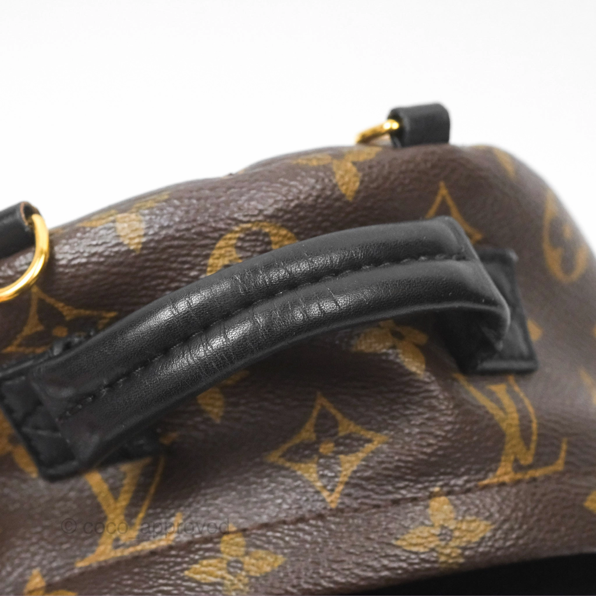 Louis Vuitton Mini Palm Springs Backpack Monogram Canvas