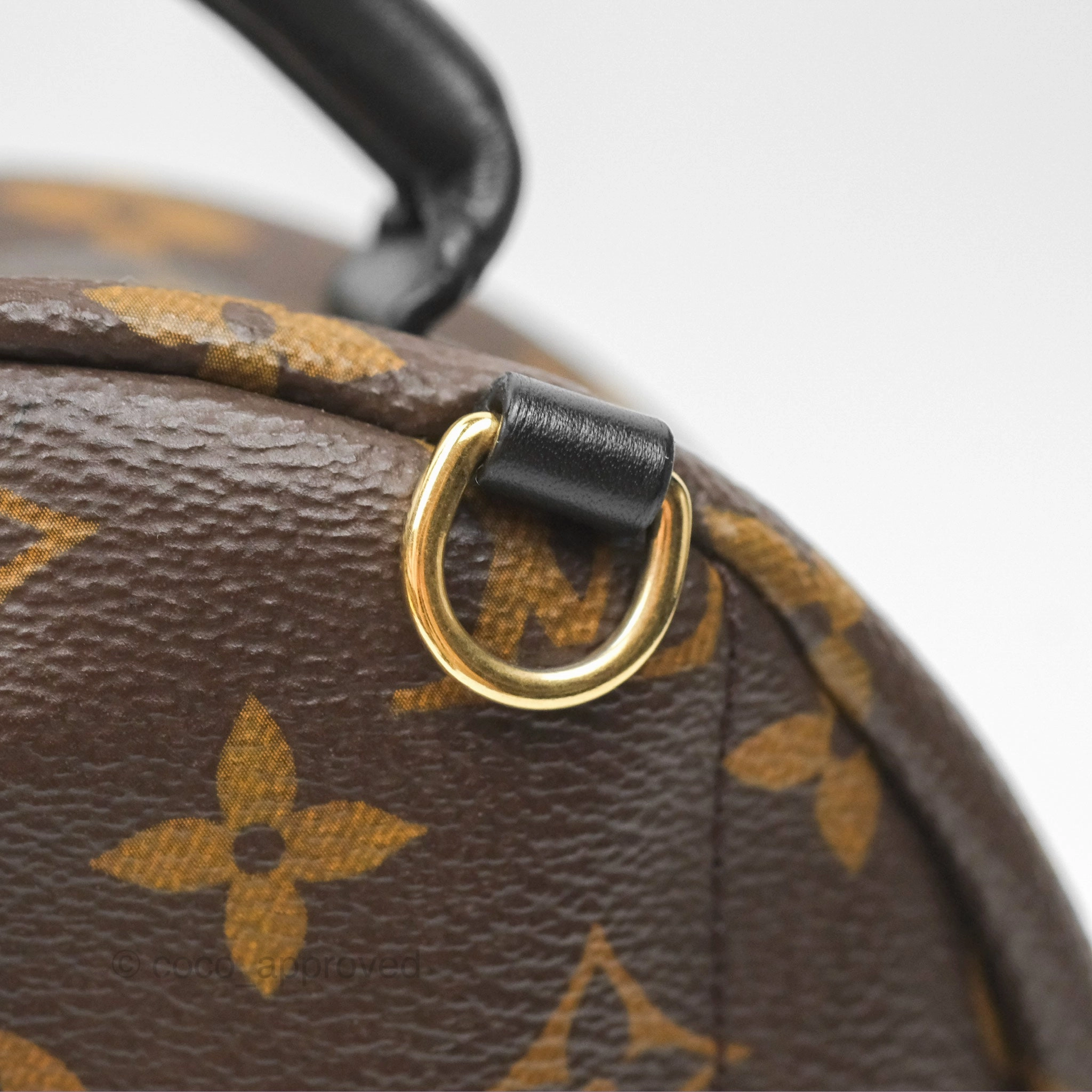 Louis Vuitton Mini Palm Springs Backpack Monogram Canvas