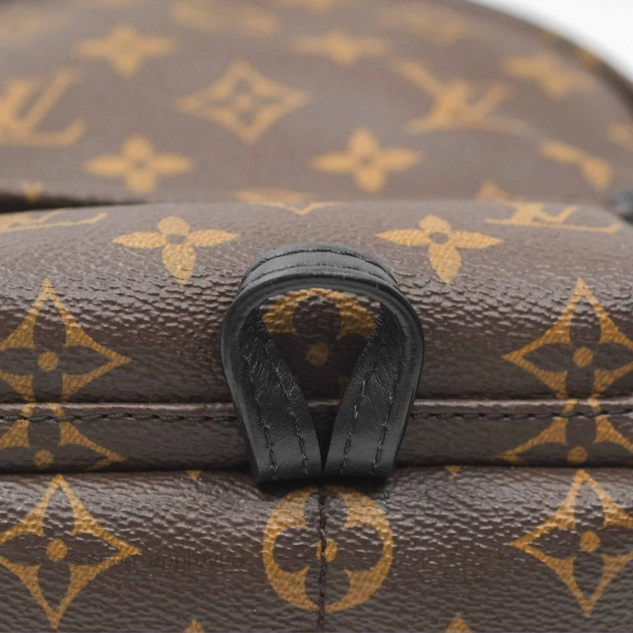 Louis Vuitton Mini Palm Springs Backpack Monogram Canvas