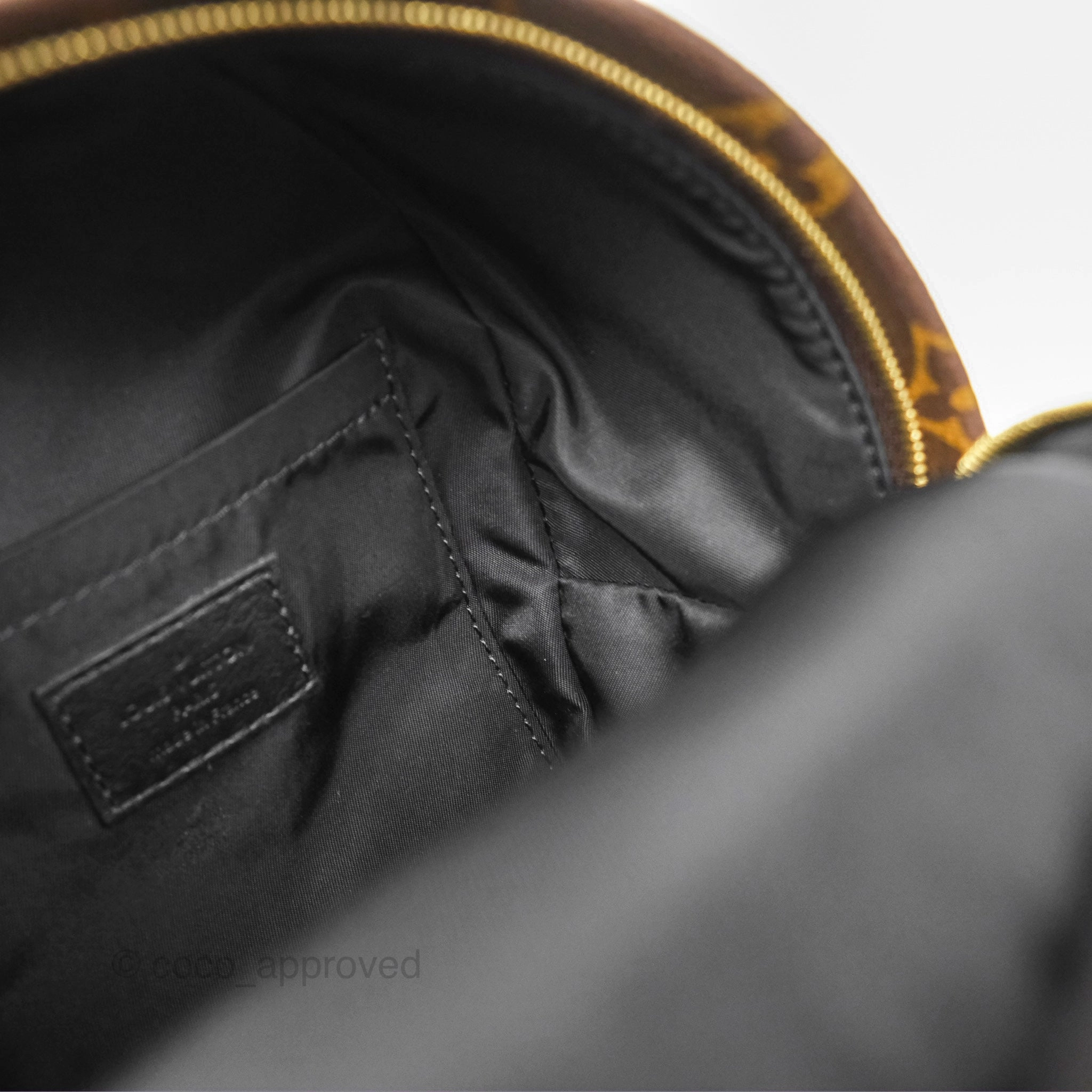 Louis Vuitton Mini Palm Springs Backpack Monogram Canvas