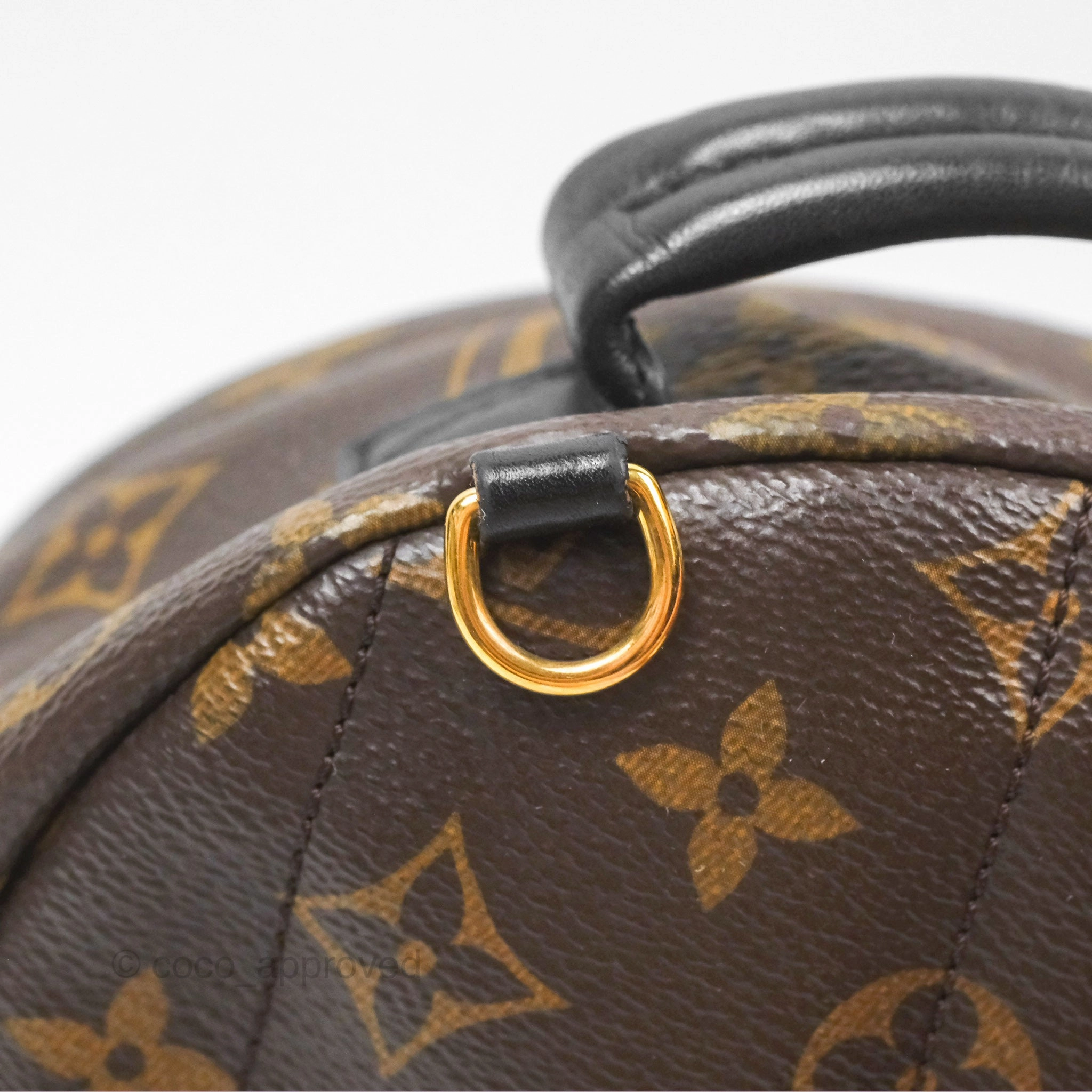Louis Vuitton Mini Palm Springs Backpack Monogram Canvas