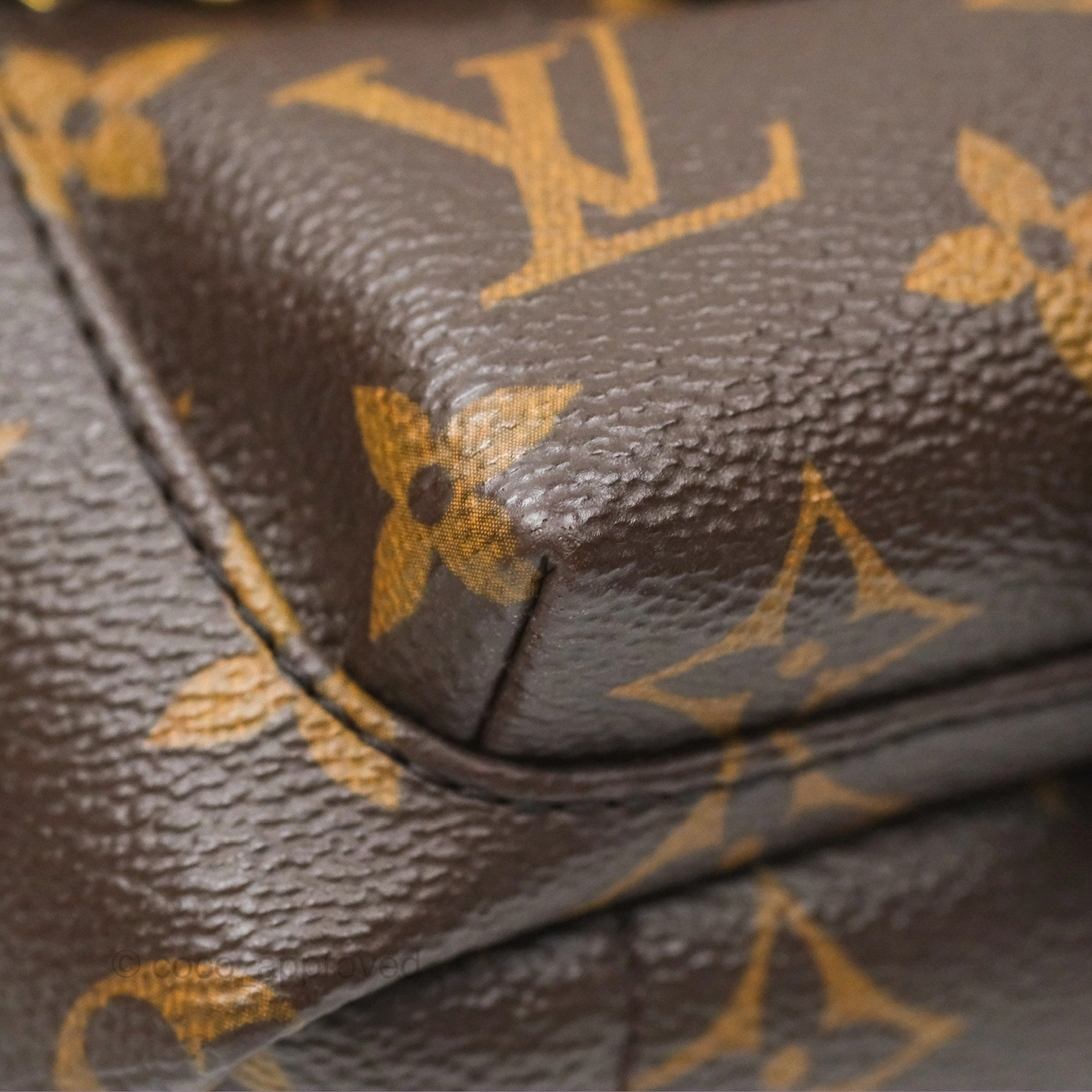 Louis Vuitton Mini Palm Springs Backpack Monogram Canvas