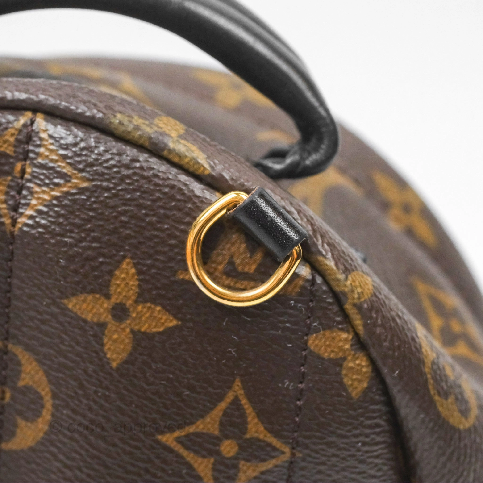 Louis Vuitton Mini Palm Springs Backpack Monogram Canvas