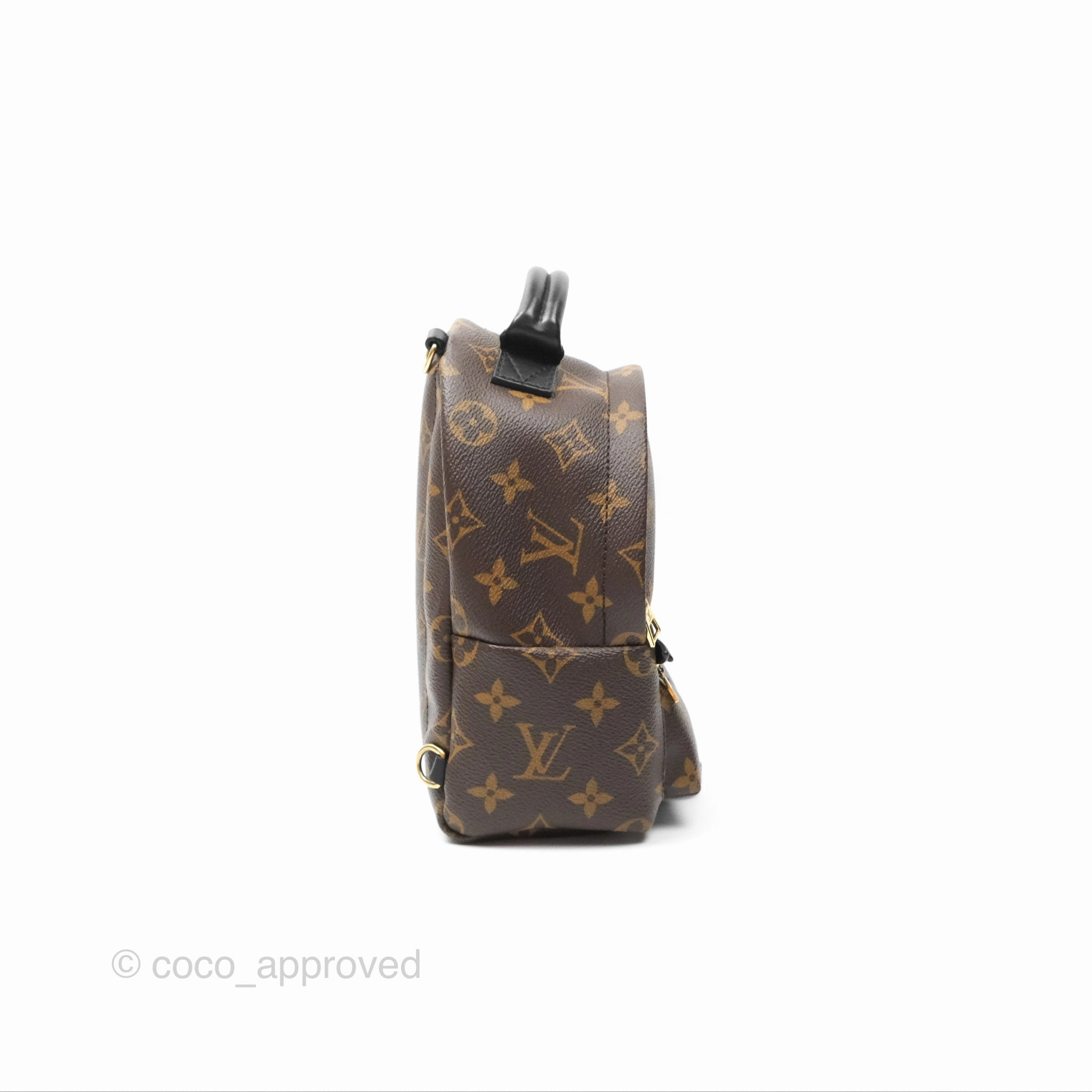 Louis Vuitton Mini Palm Springs Backpack Monogram Canvas