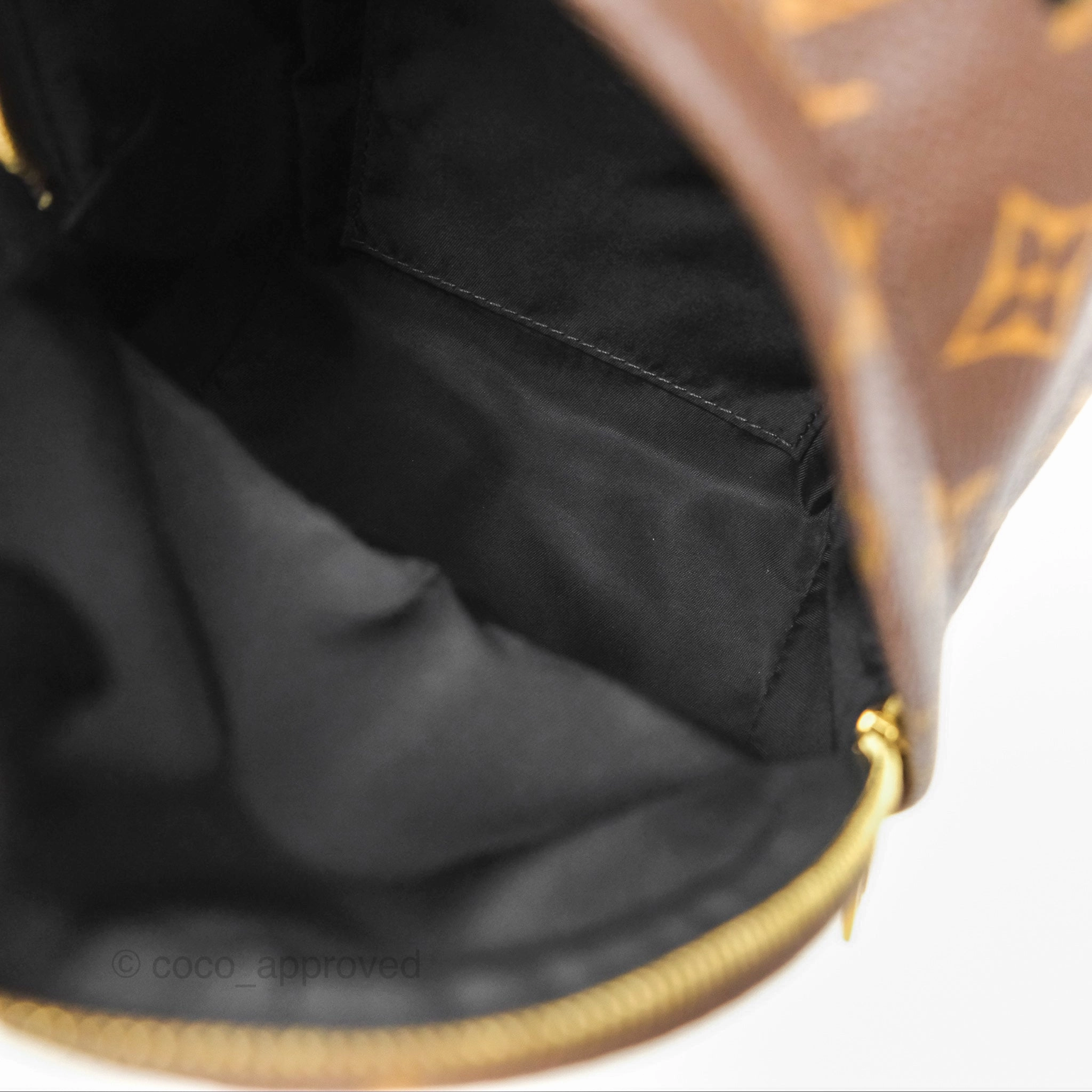 Louis Vuitton Mini Palm Springs Backpack Monogram Canvas