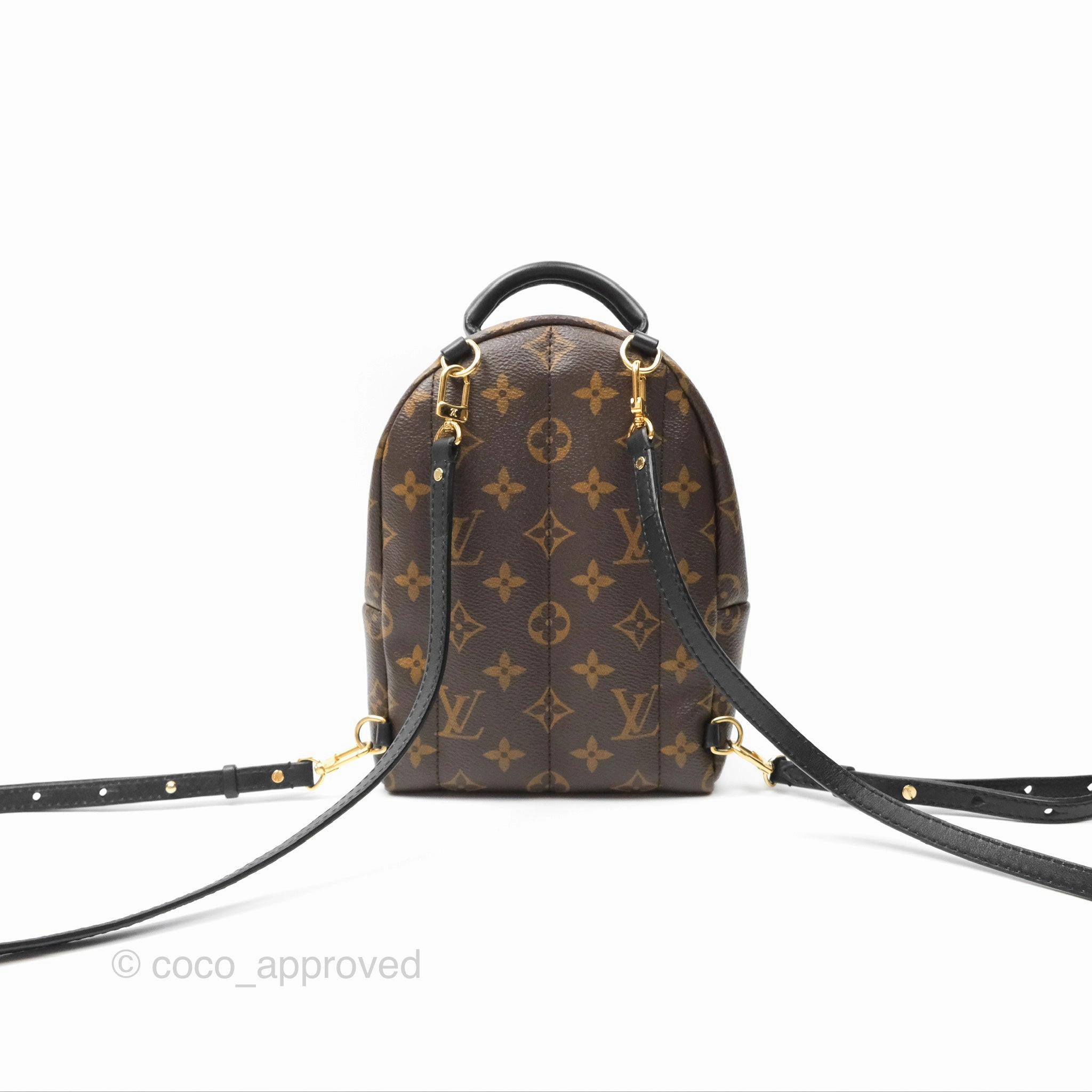 Louis Vuitton Mini Palm Springs Backpack Monogram Canvas