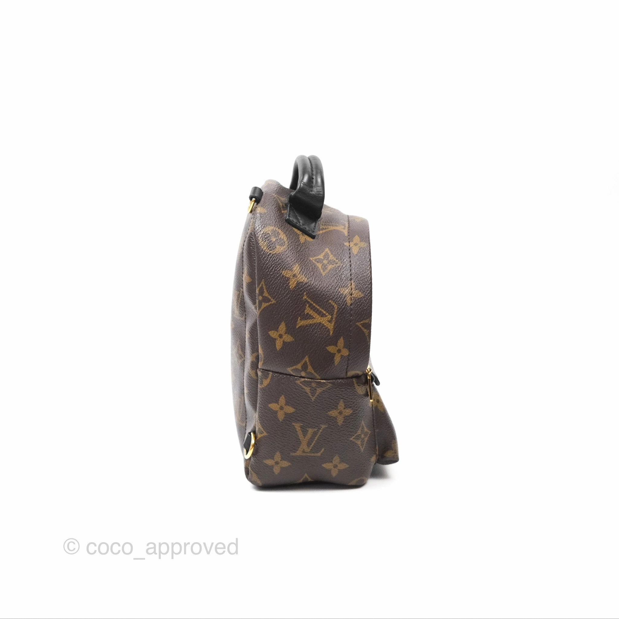 Louis Vuitton Mini Palm Springs Backpack Monogram Canvas