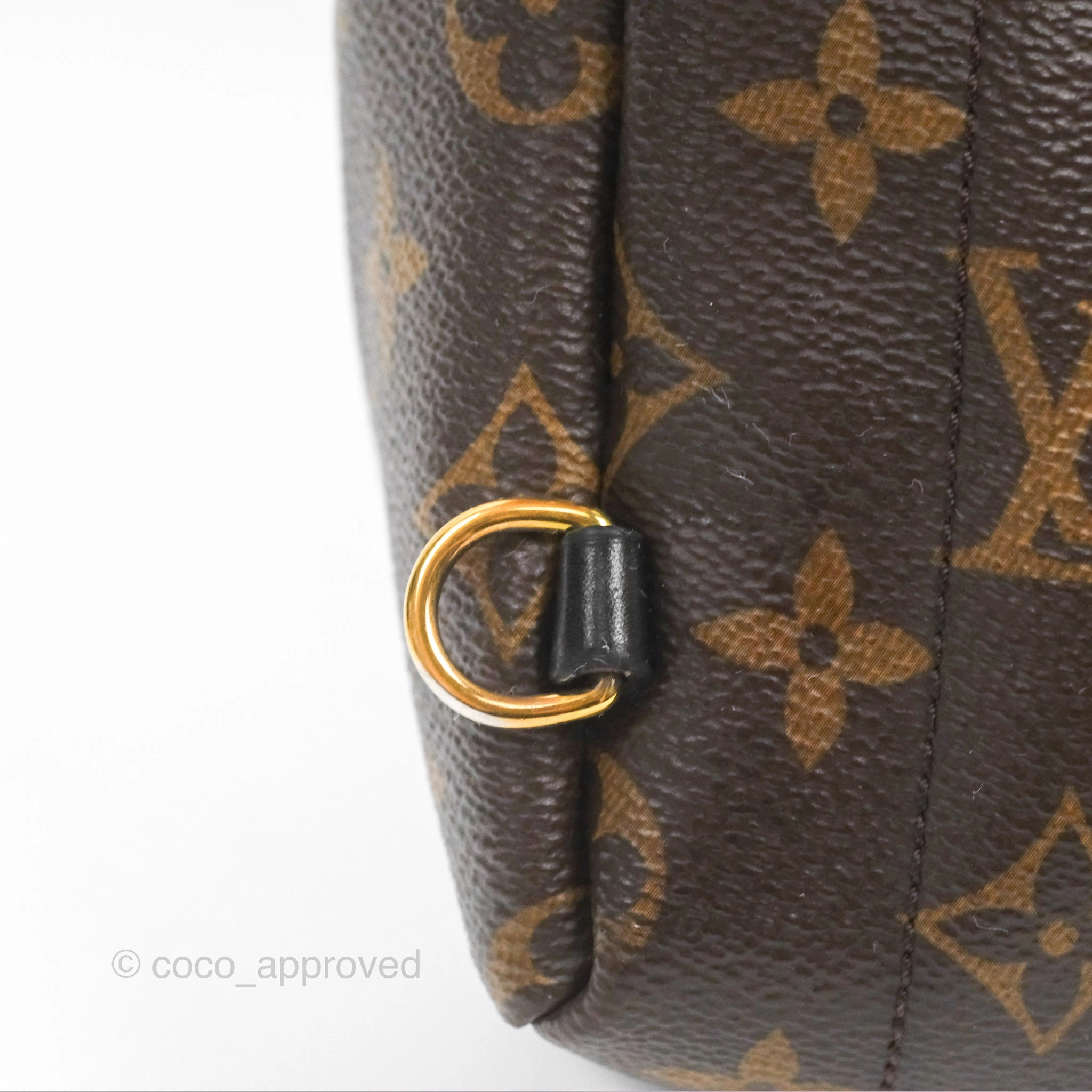 Louis Vuitton Mini Palm Springs Backpack Monogram Canvas