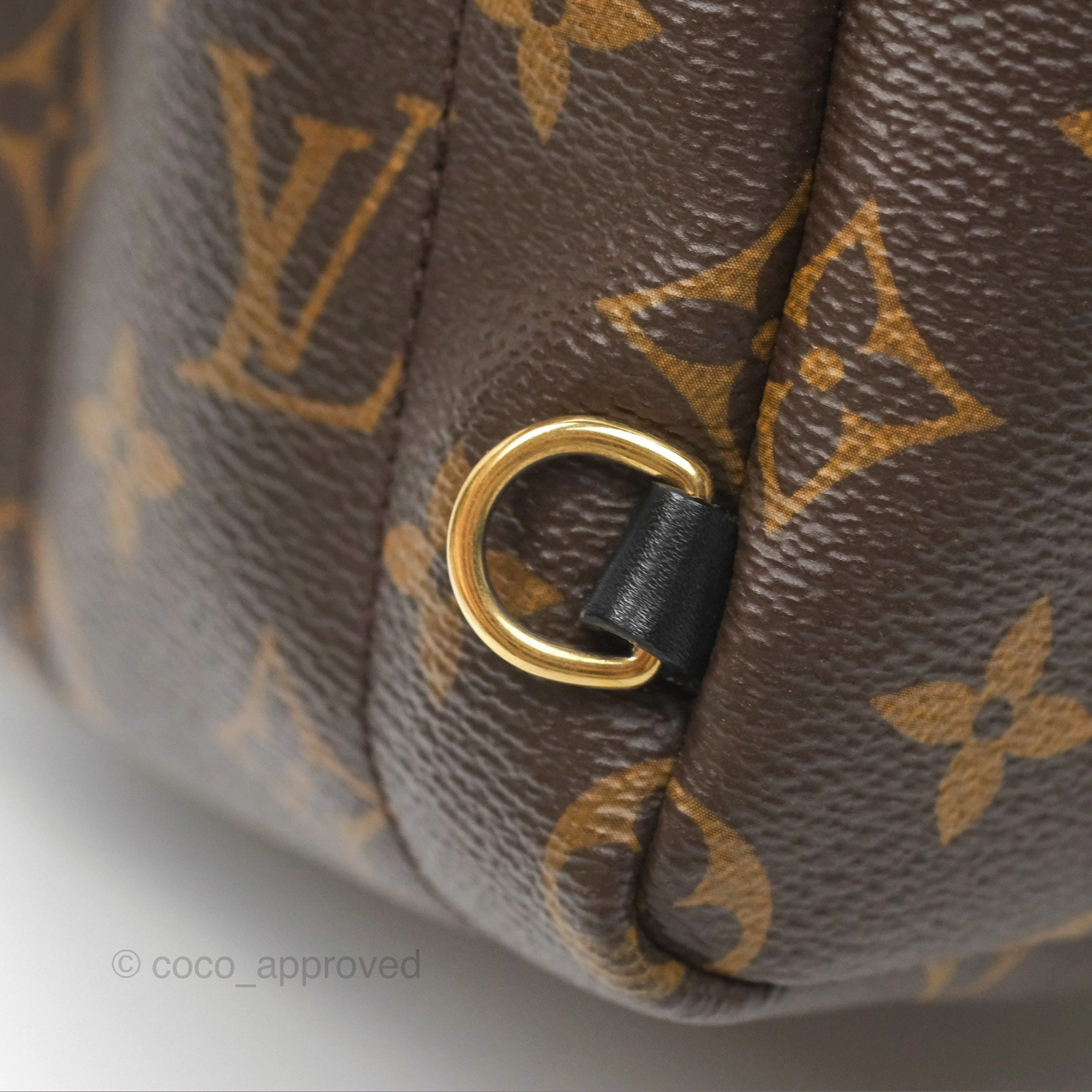 Louis Vuitton Mini Palm Springs Backpack Monogram Canvas