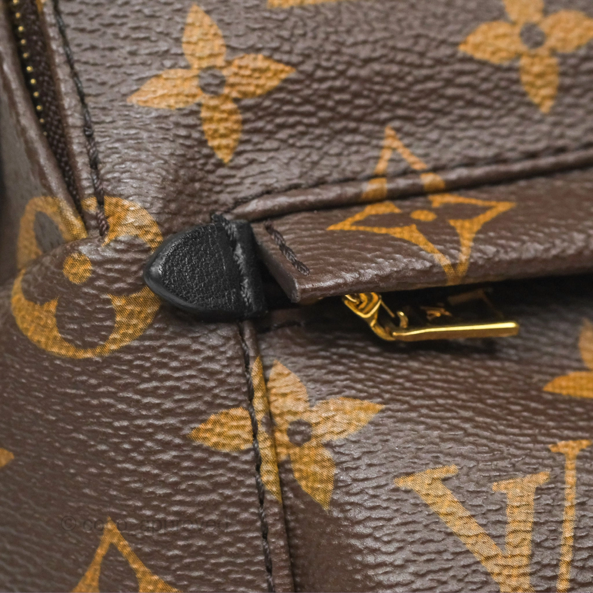 Louis Vuitton Mini Palm Springs Backpack Monogram Canvas