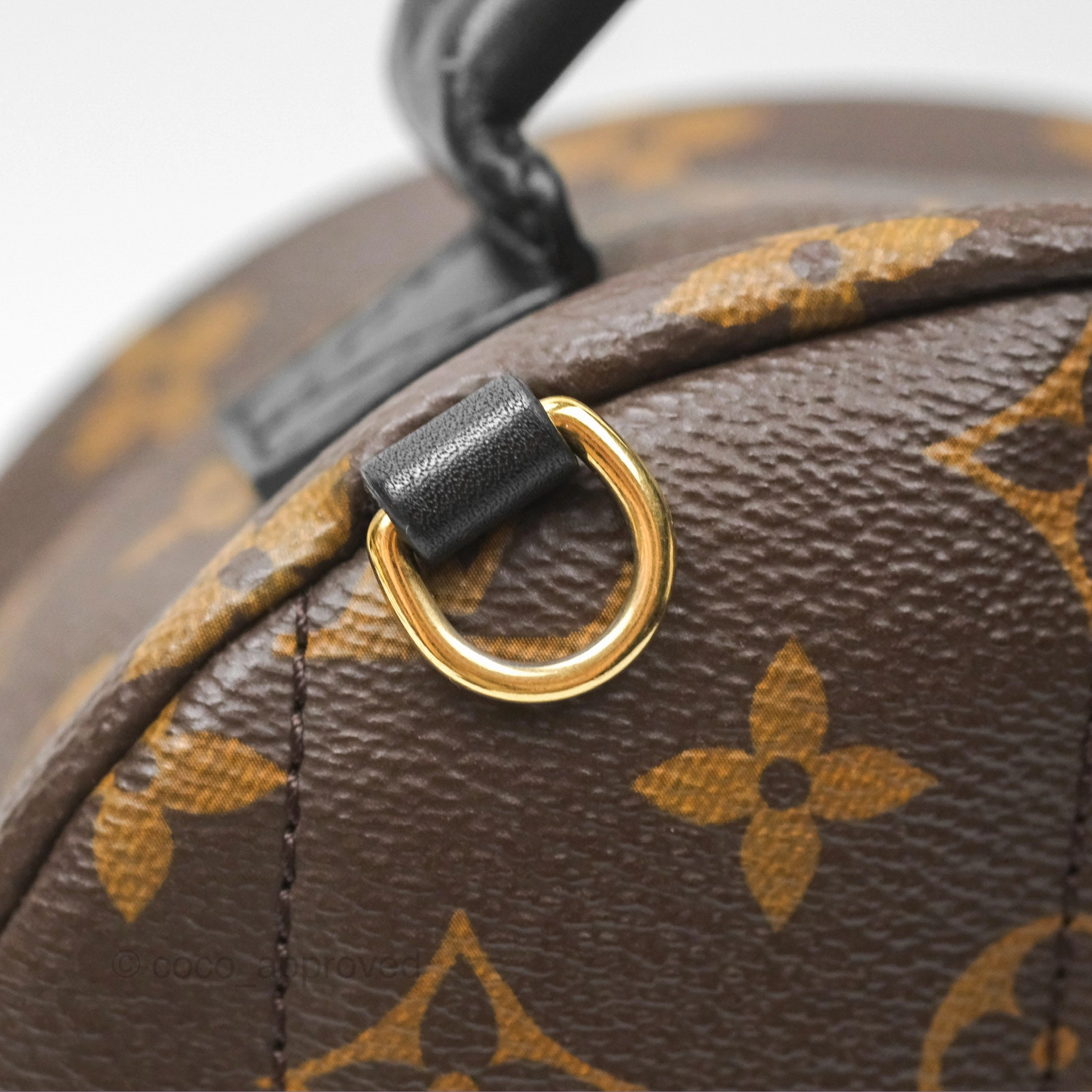 Louis Vuitton Mini Palm Springs Backpack Monogram Canvas