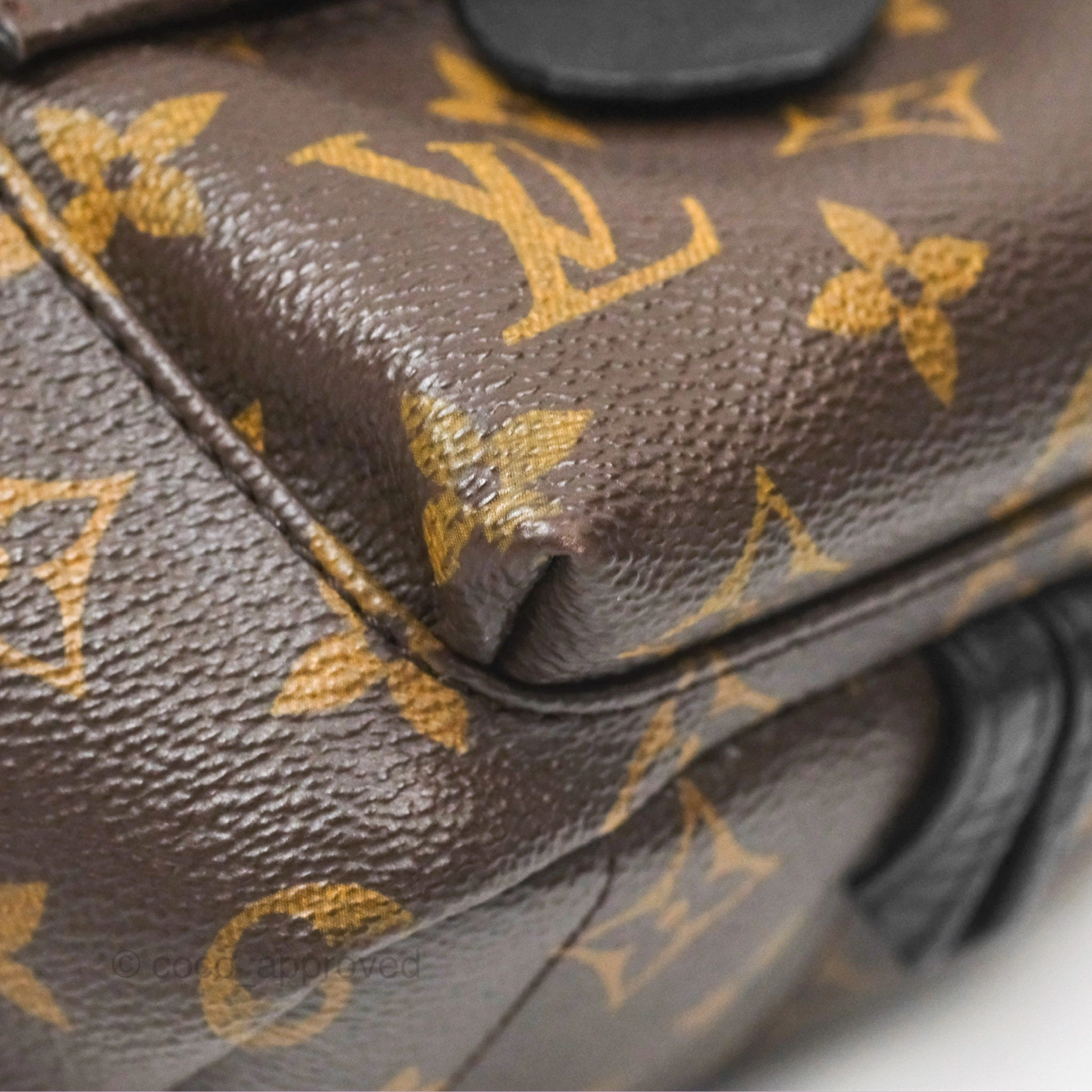 Louis Vuitton Mini Palm Springs Backpack Monogram Canvas
