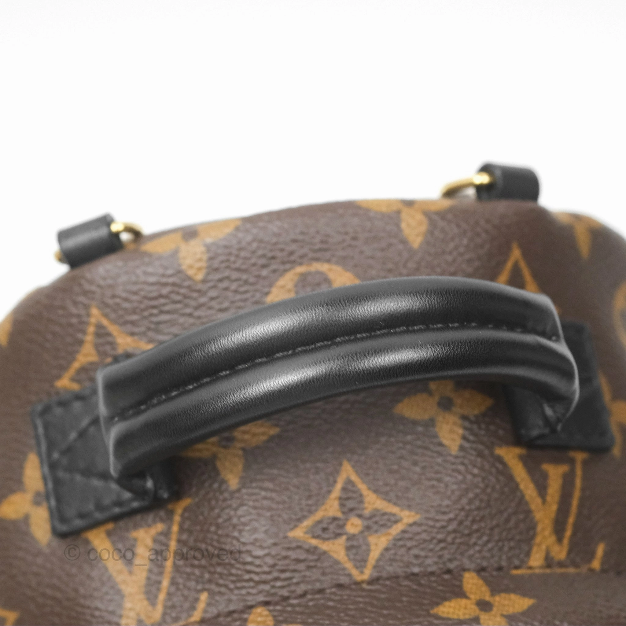 Louis Vuitton Mini Palm Springs Backpack Monogram Canvas