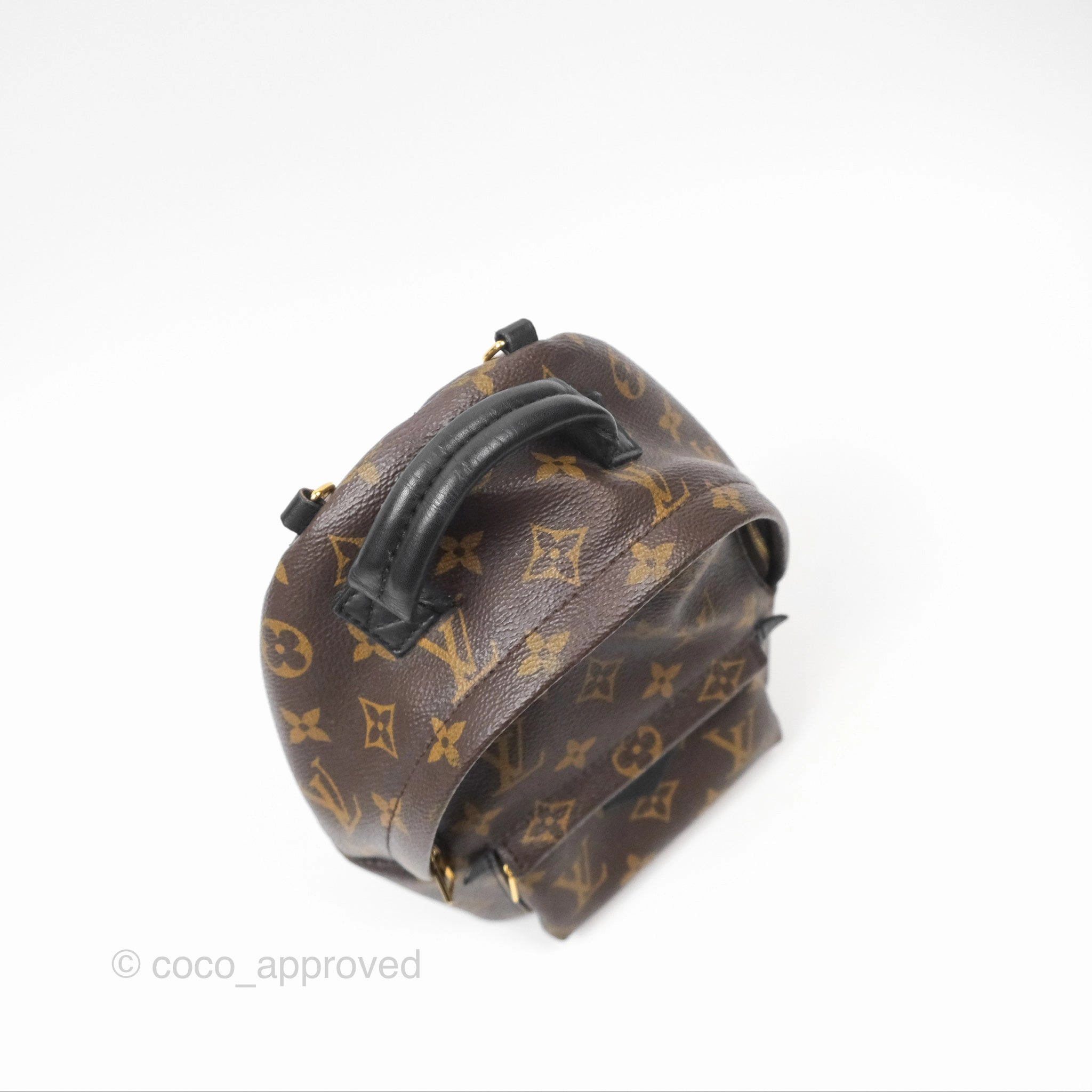 Louis Vuitton Mini Palm Springs Backpack Monogram Canvas