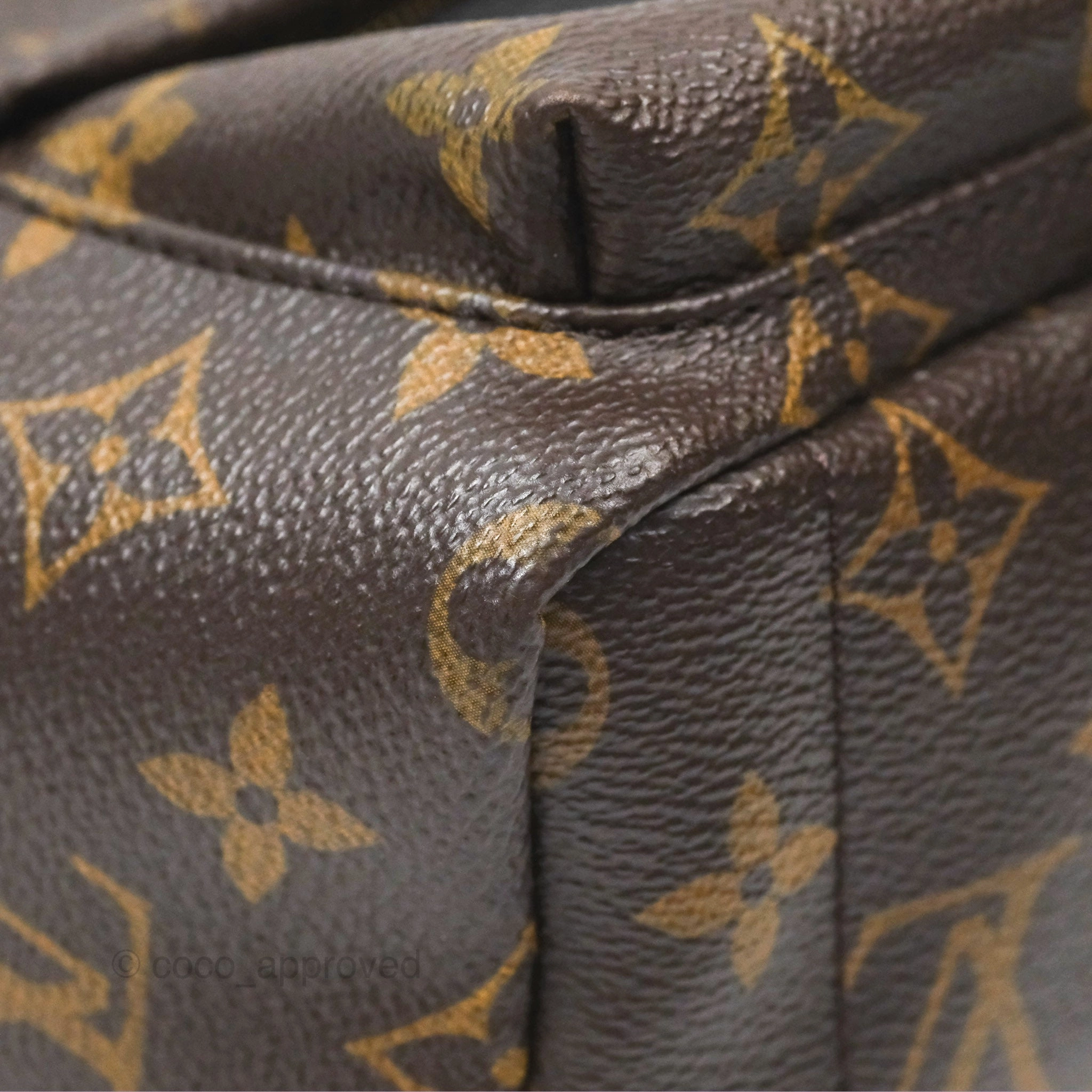 Louis Vuitton Mini Palm Springs Backpack Monogram Canvas
