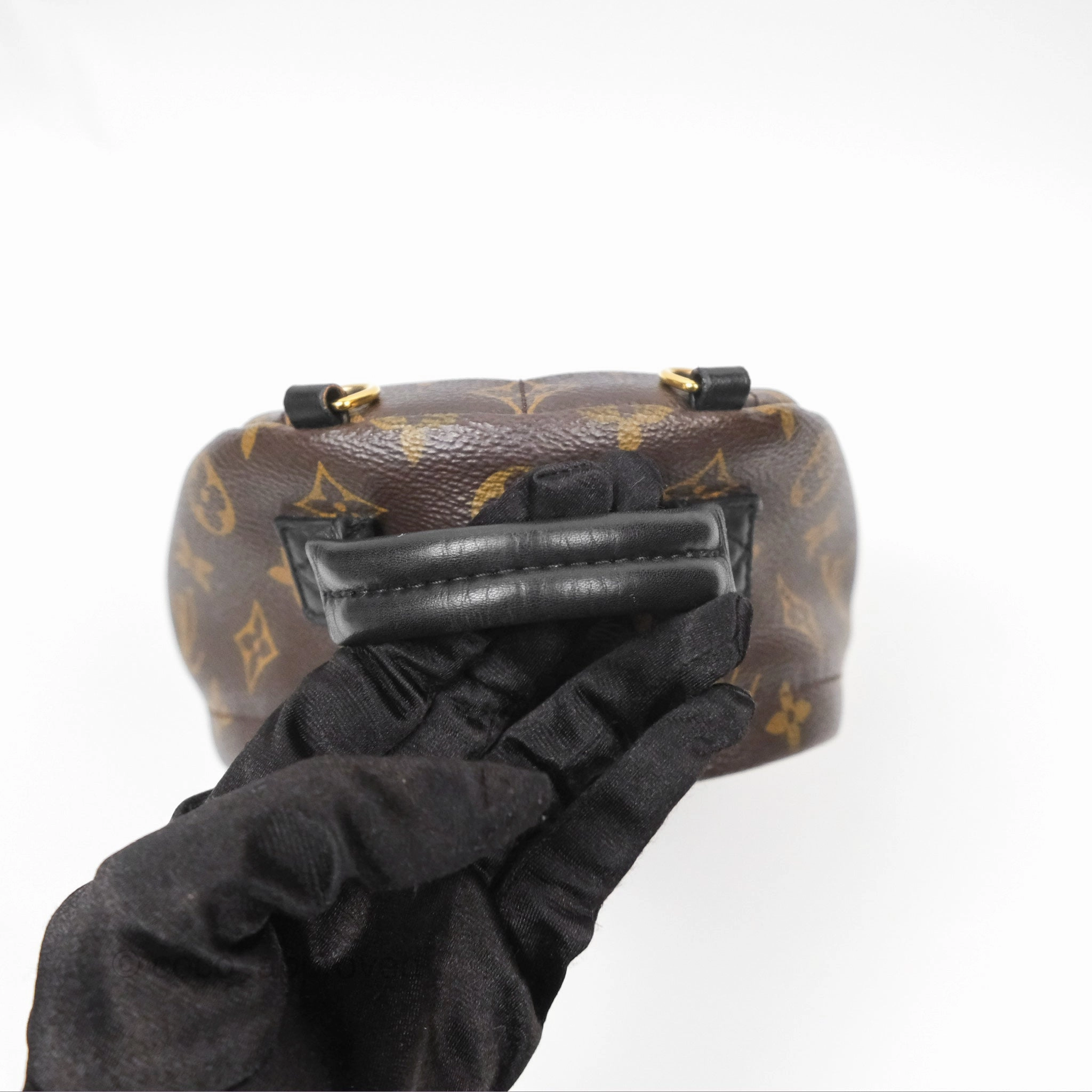 Louis Vuitton Mini Palm Springs Backpack Monogram Canvas