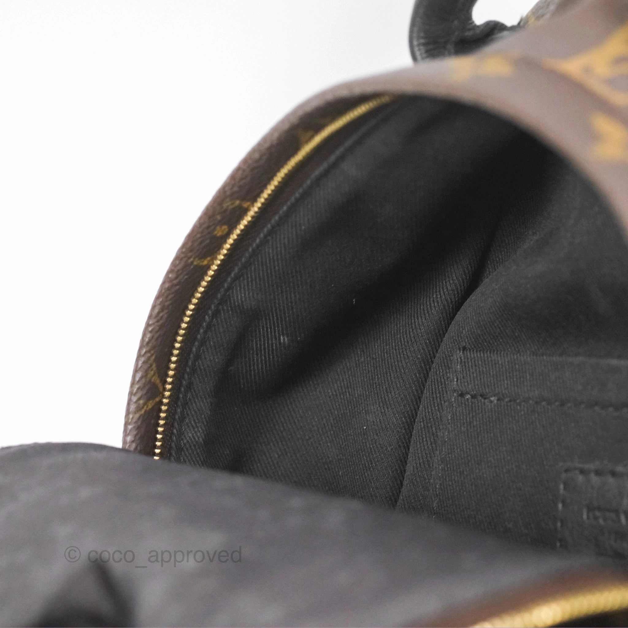 Louis Vuitton Mini Palm Springs Backpack Monogram Canvas