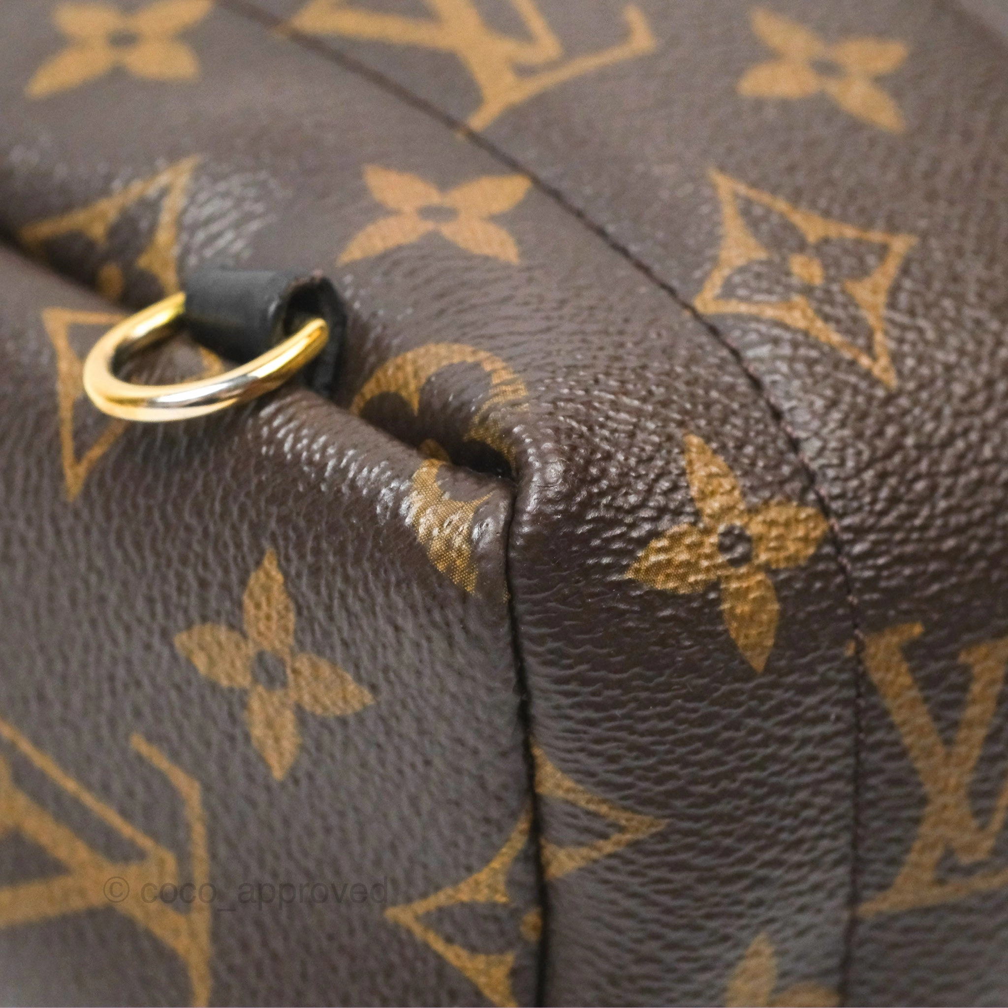 Louis Vuitton Mini Palm Springs Backpack Monogram Canvas