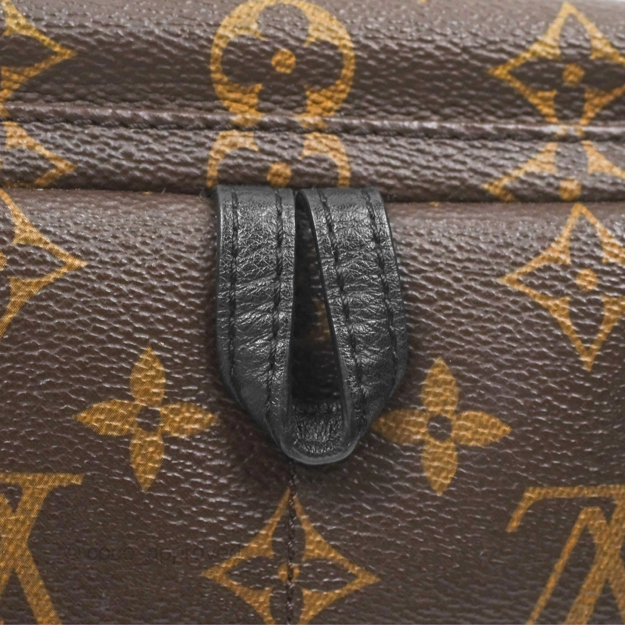 Louis Vuitton Mini Palm Springs Backpack Monogram Canvas