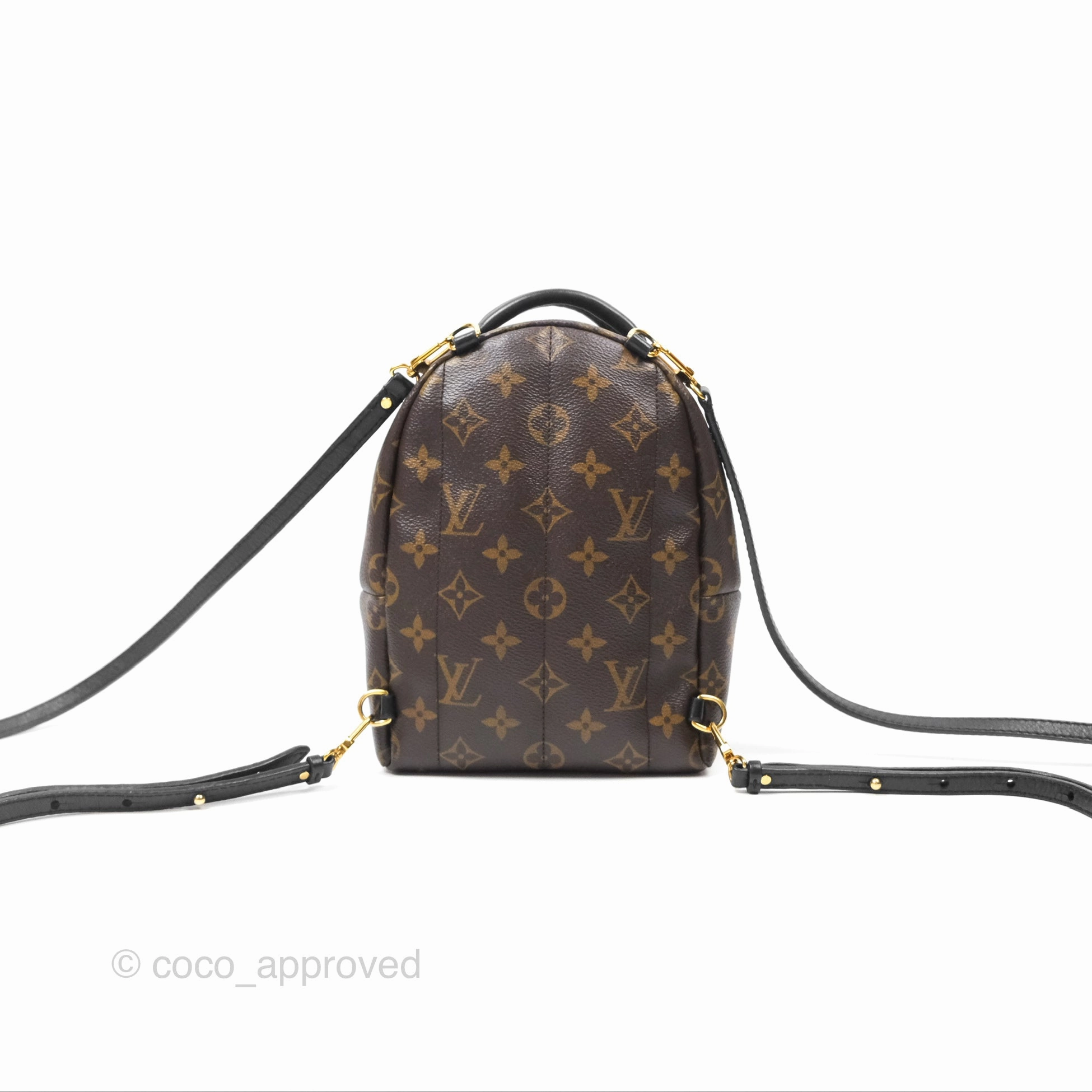 Louis Vuitton Mini Palm Springs Backpack Monogram Canvas