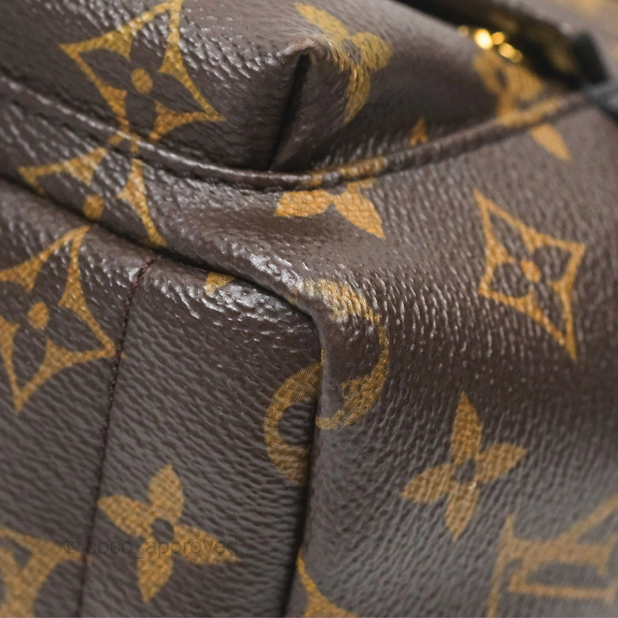 Louis Vuitton Mini Palm Springs Backpack Monogram Canvas