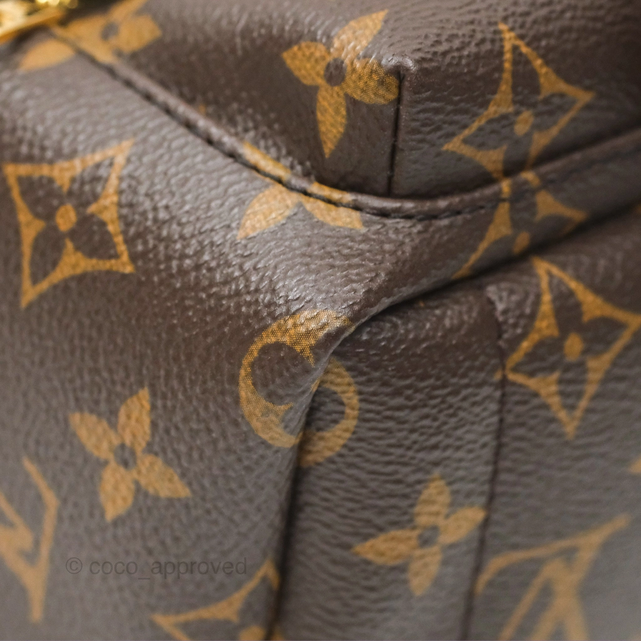 Louis Vuitton Mini Palm Springs Backpack Monogram Canvas