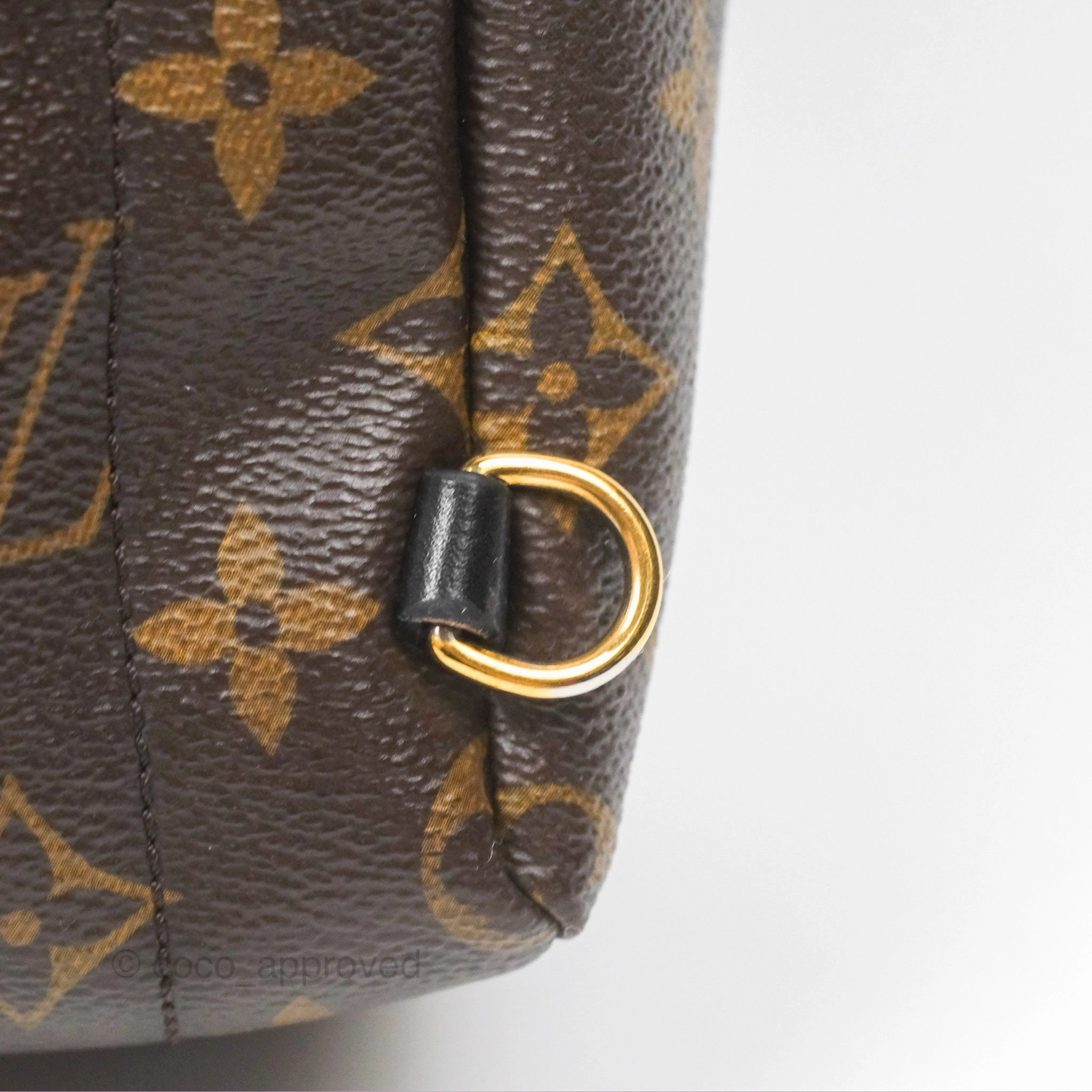 Louis Vuitton Mini Palm Springs Backpack Monogram Canvas