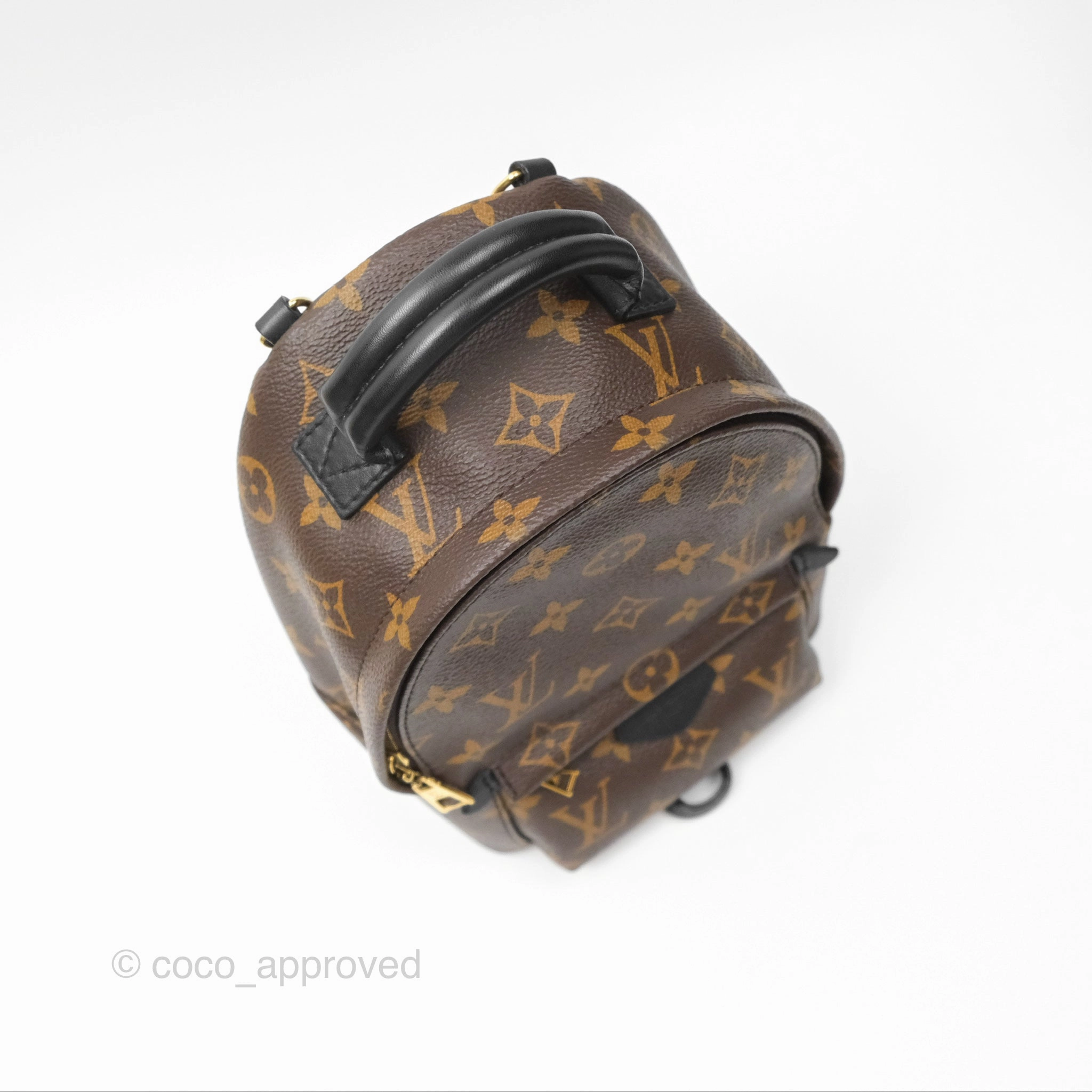 Louis Vuitton Mini Palm Springs Backpack Monogram Canvas