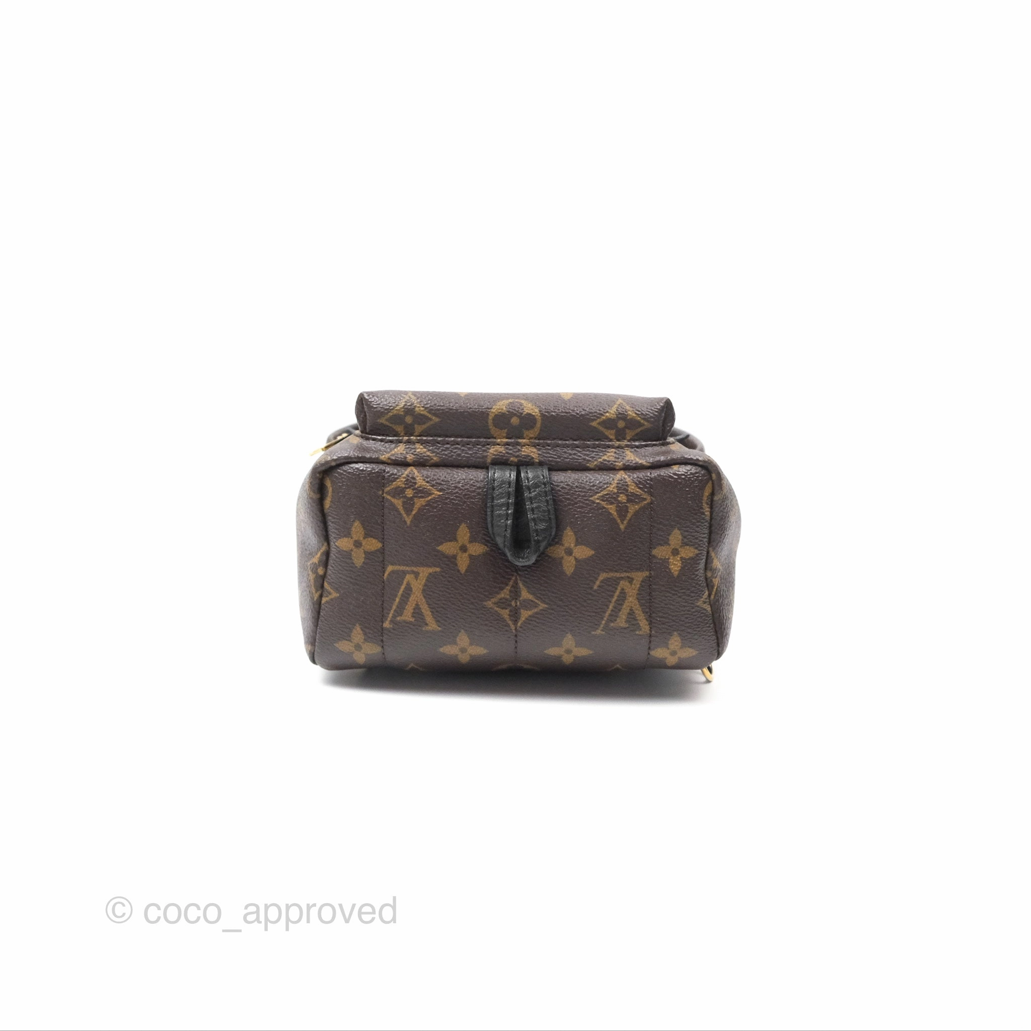 Louis Vuitton Mini Palm Springs Backpack Monogram Canvas