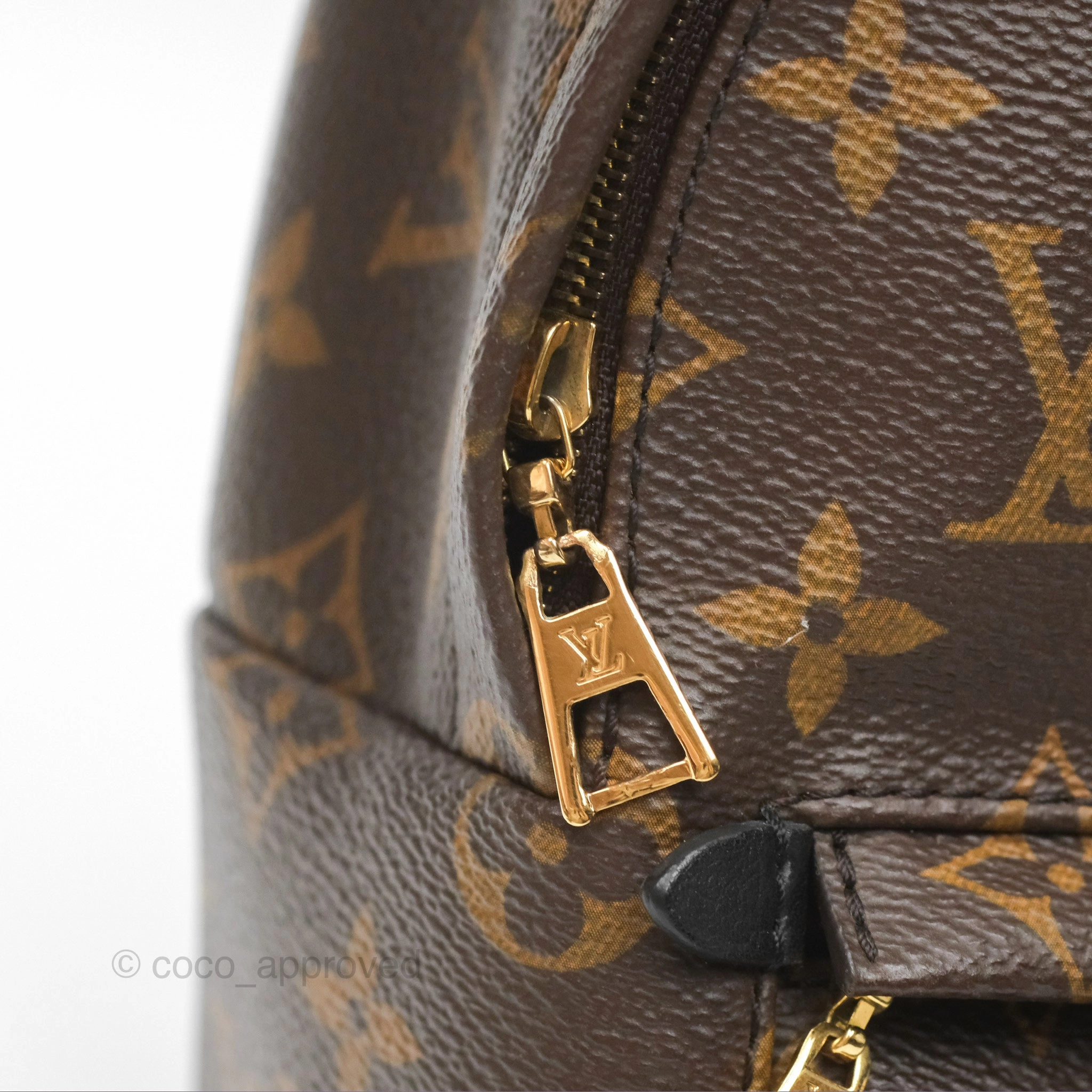 Louis Vuitton Mini Palm Springs Backpack Monogram Canvas