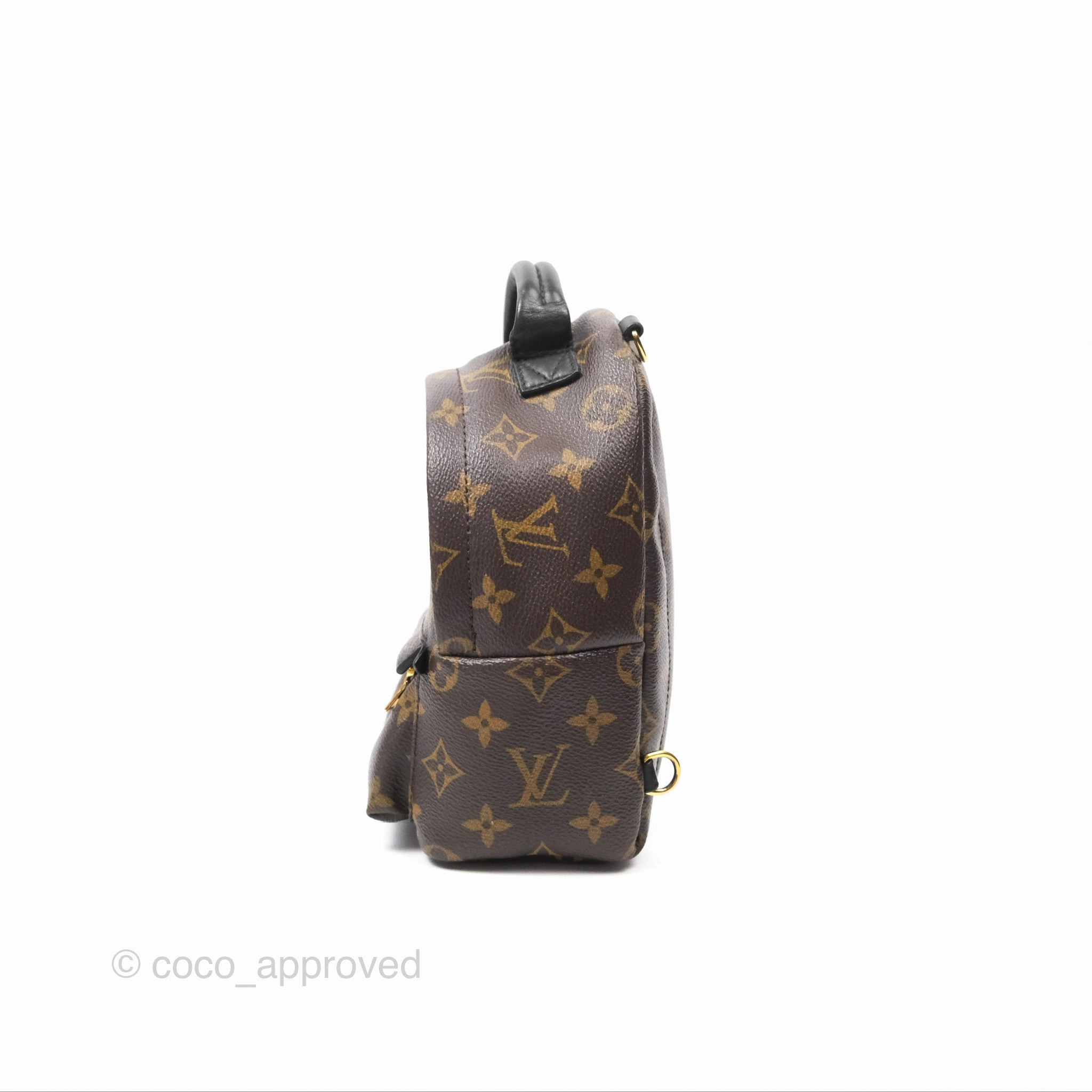 Louis Vuitton Mini Palm Springs Backpack Monogram Canvas