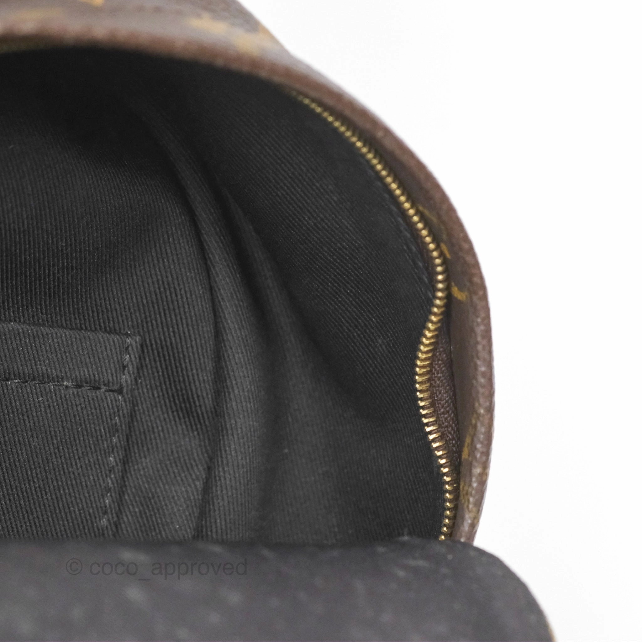 Louis Vuitton Mini Palm Springs Backpack Monogram Canvas
