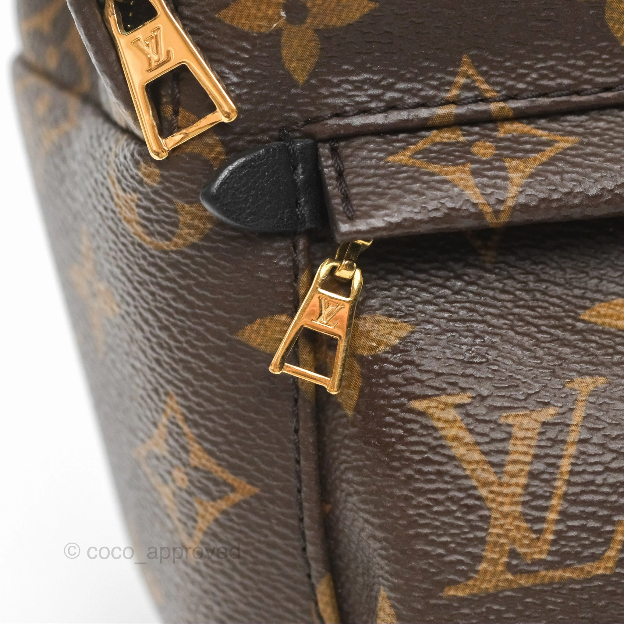 Louis Vuitton Mini Palm Springs Backpack Monogram Canvas