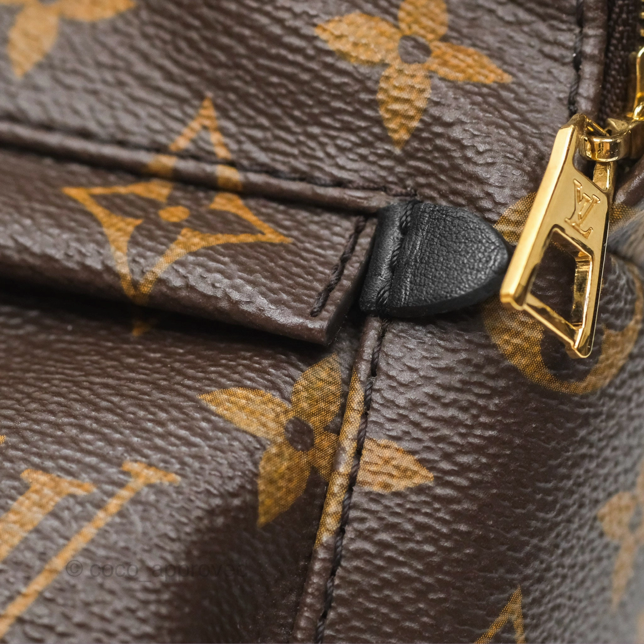 Louis Vuitton Mini Palm Springs Backpack Monogram Canvas