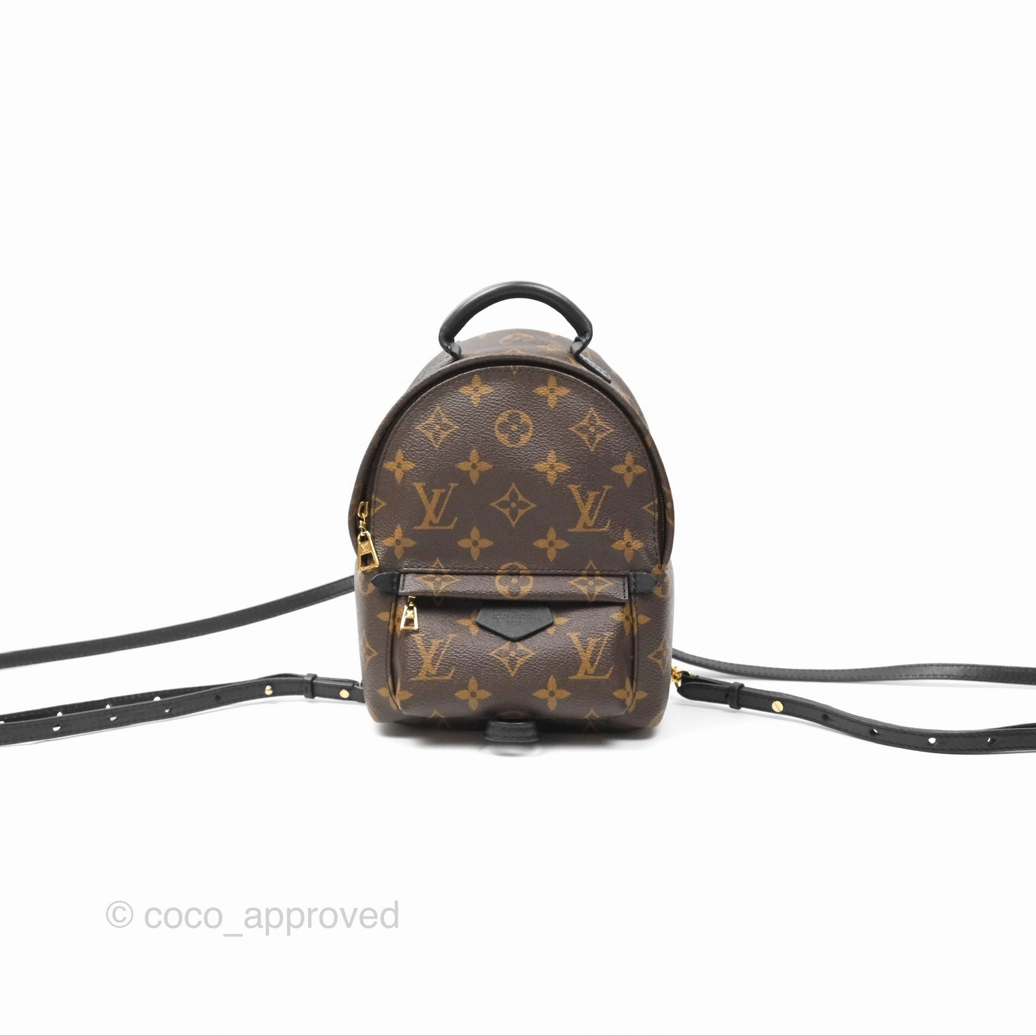 Louis Vuitton Mini Palm Springs Backpack Monogram Canvas