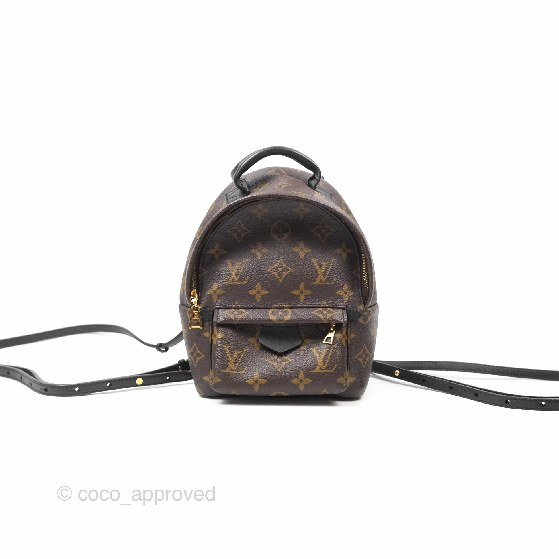 Louis Vuitton Mini Palm Springs Backpack Monogram Canvas