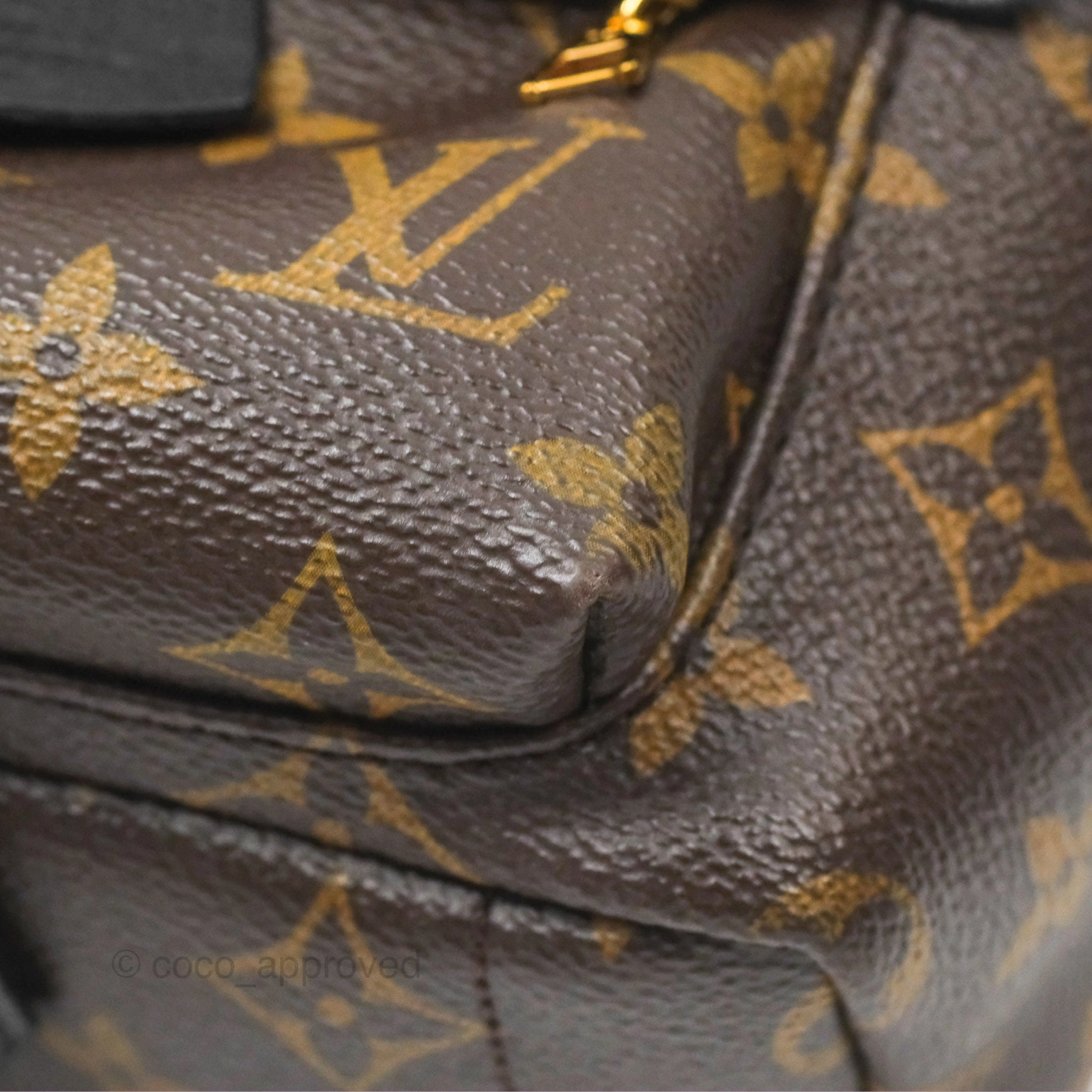 Louis Vuitton Mini Palm Springs Backpack Monogram Canvas