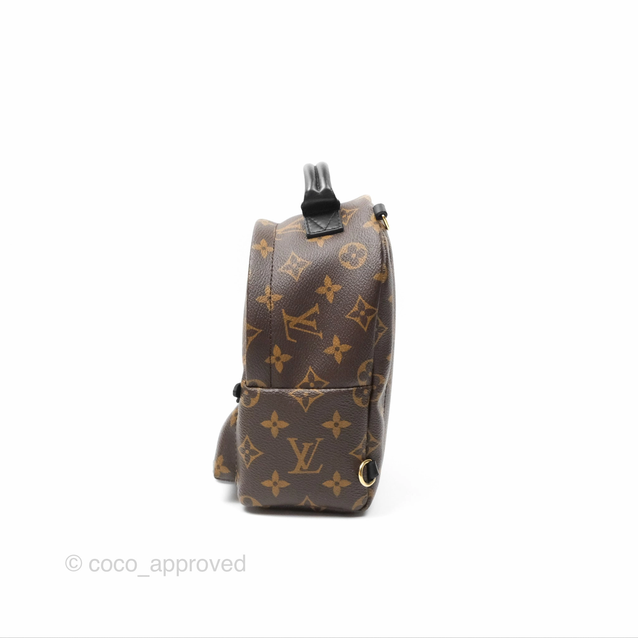 Louis Vuitton Mini Palm Springs Backpack Monogram Canvas