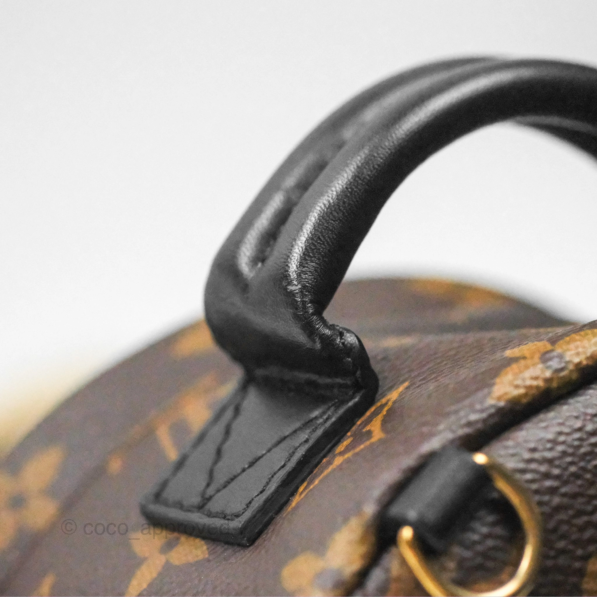 Louis Vuitton Mini Palm Springs Backpack Monogram Canvas