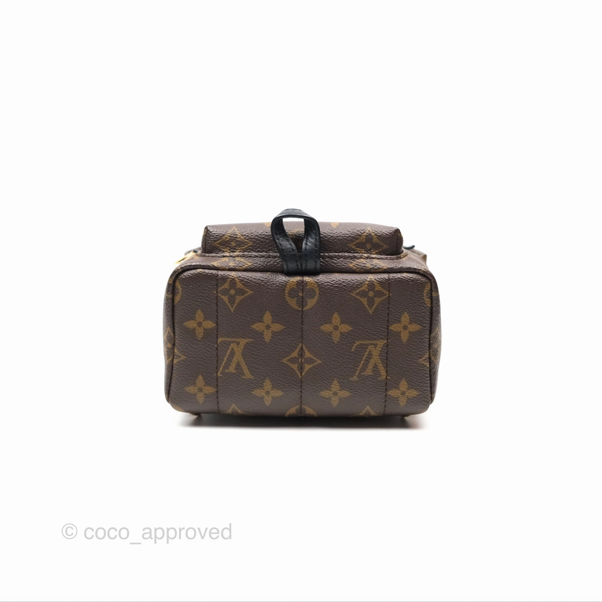 Louis Vuitton Mini Palm Springs Backpack Monogram