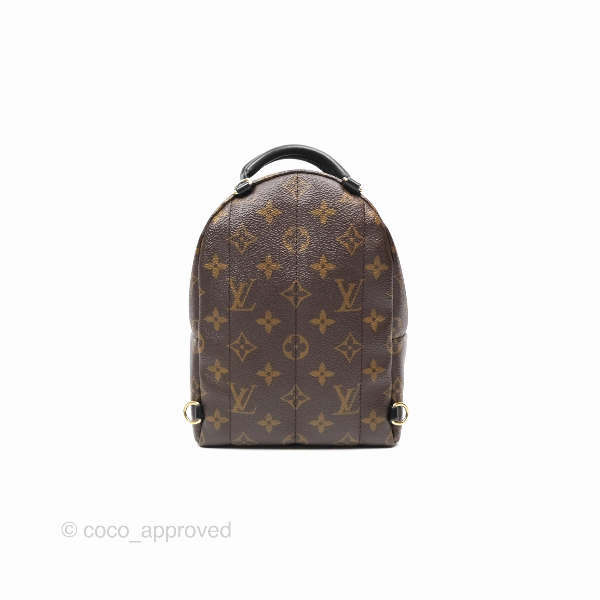 Louis Vuitton Mini Palm Springs Backpack Monogram