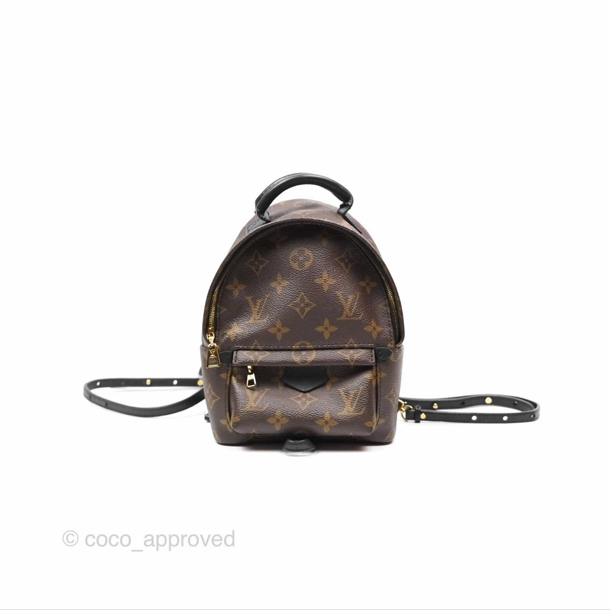 Louis Vuitton Mini Palm Springs Backpack Monogram
