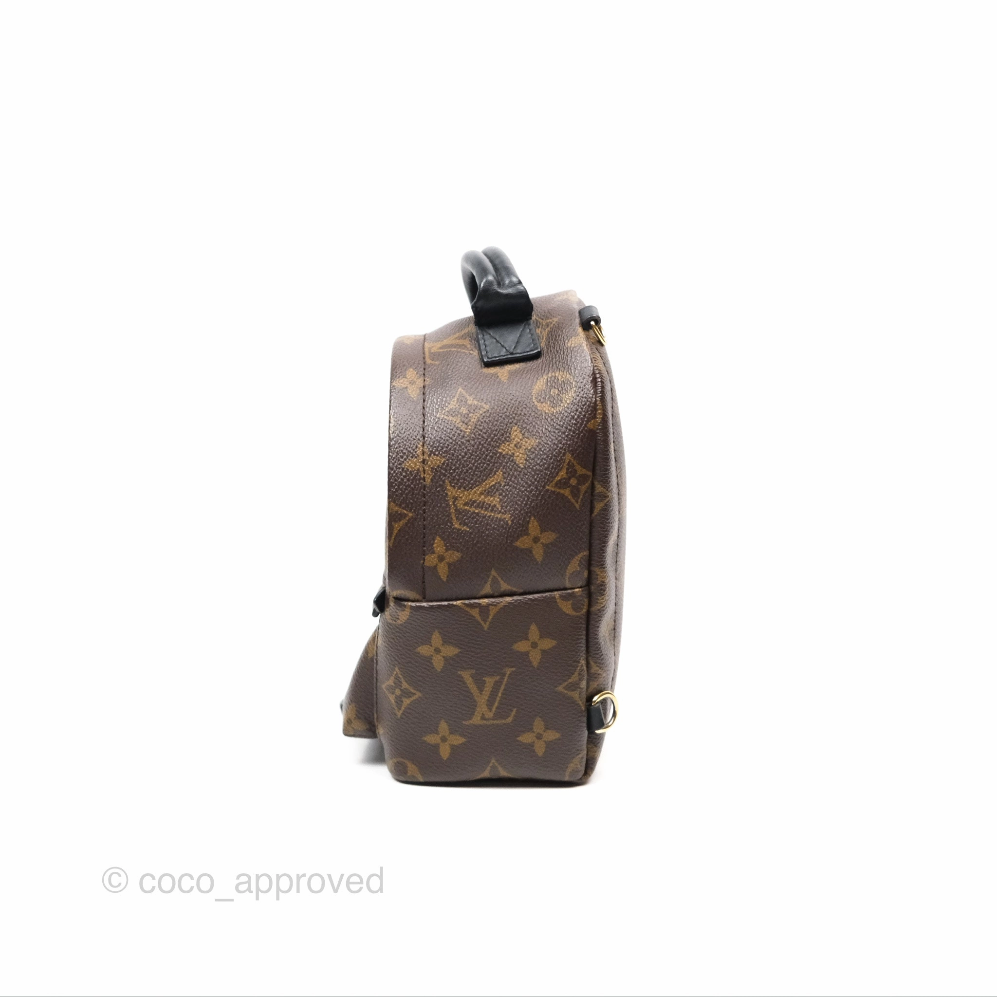 Louis Vuitton Mini Palm Springs Backpack Monogram