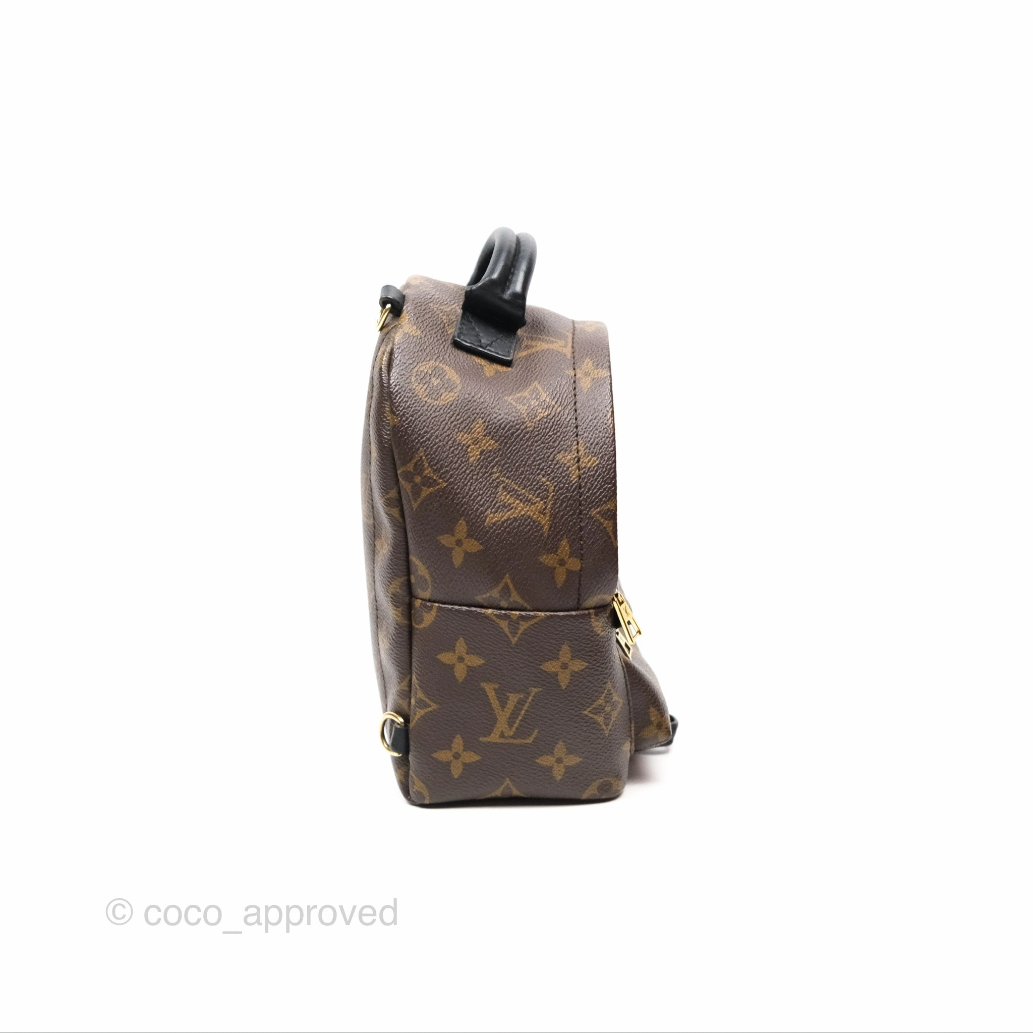 Louis Vuitton Mini Palm Springs Backpack Monogram