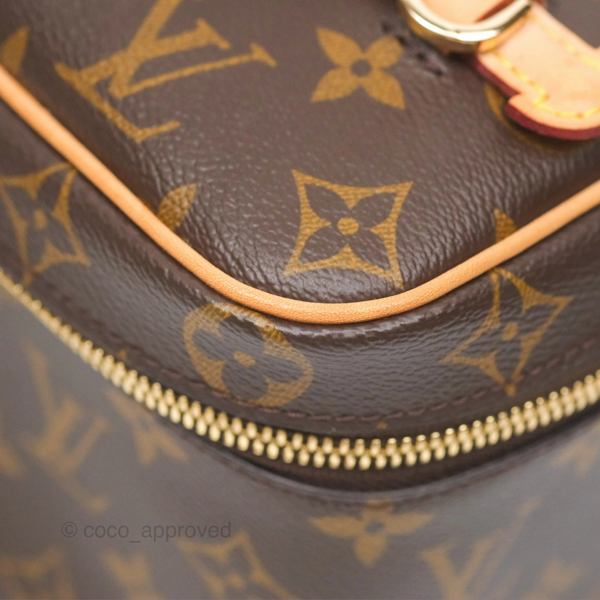 Louis Vuitton Monogram Nice Mini