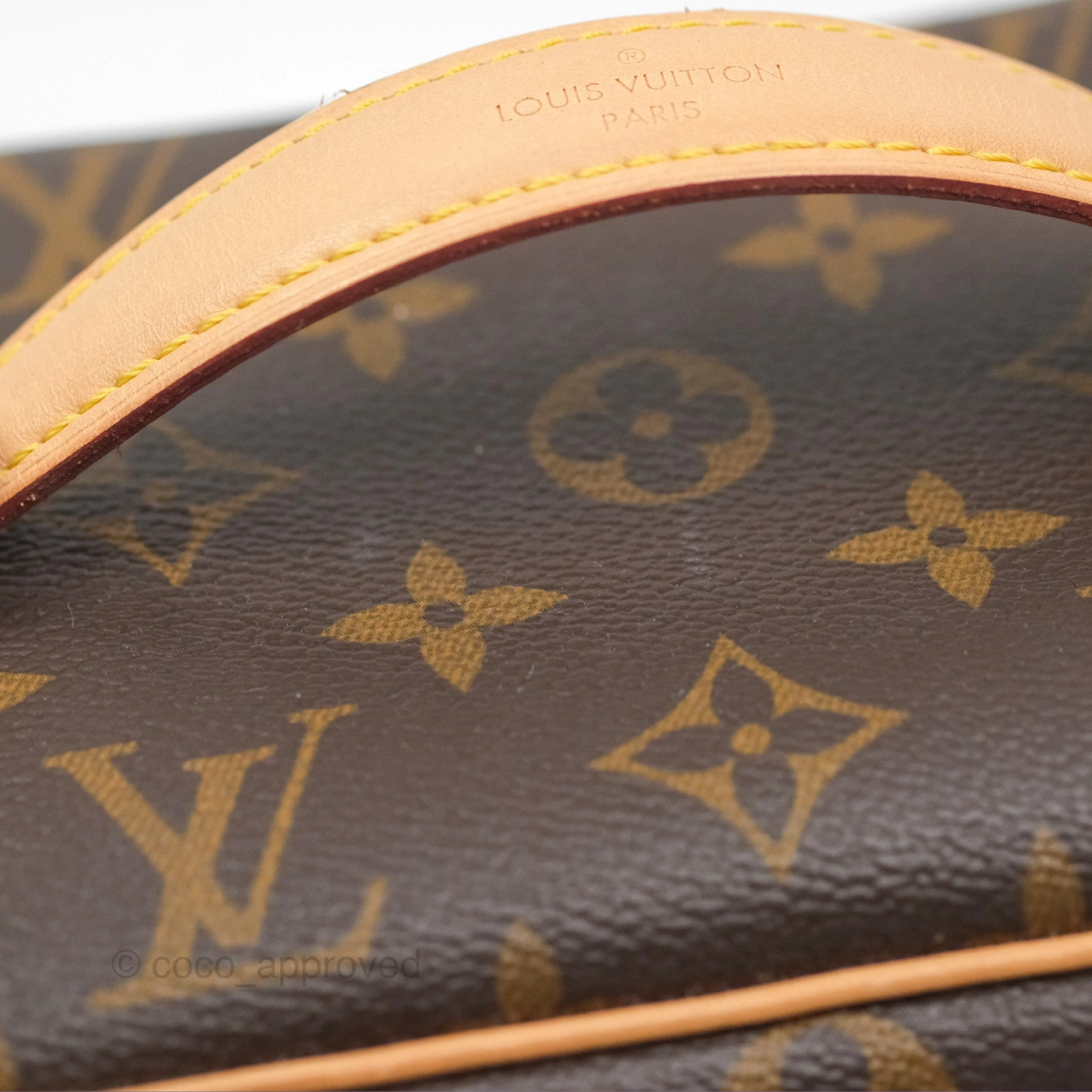 Louis Vuitton Monogram Nice Mini