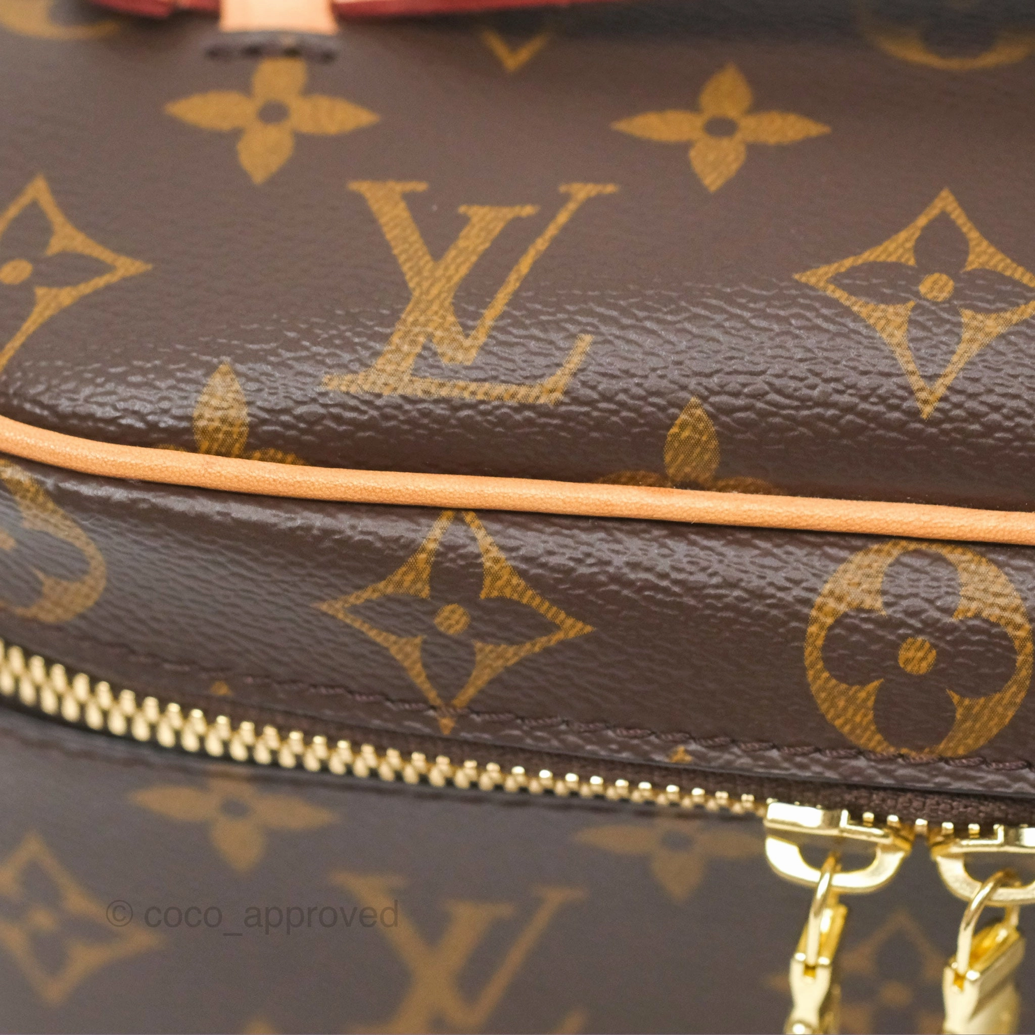 Louis Vuitton Monogram Nice Mini