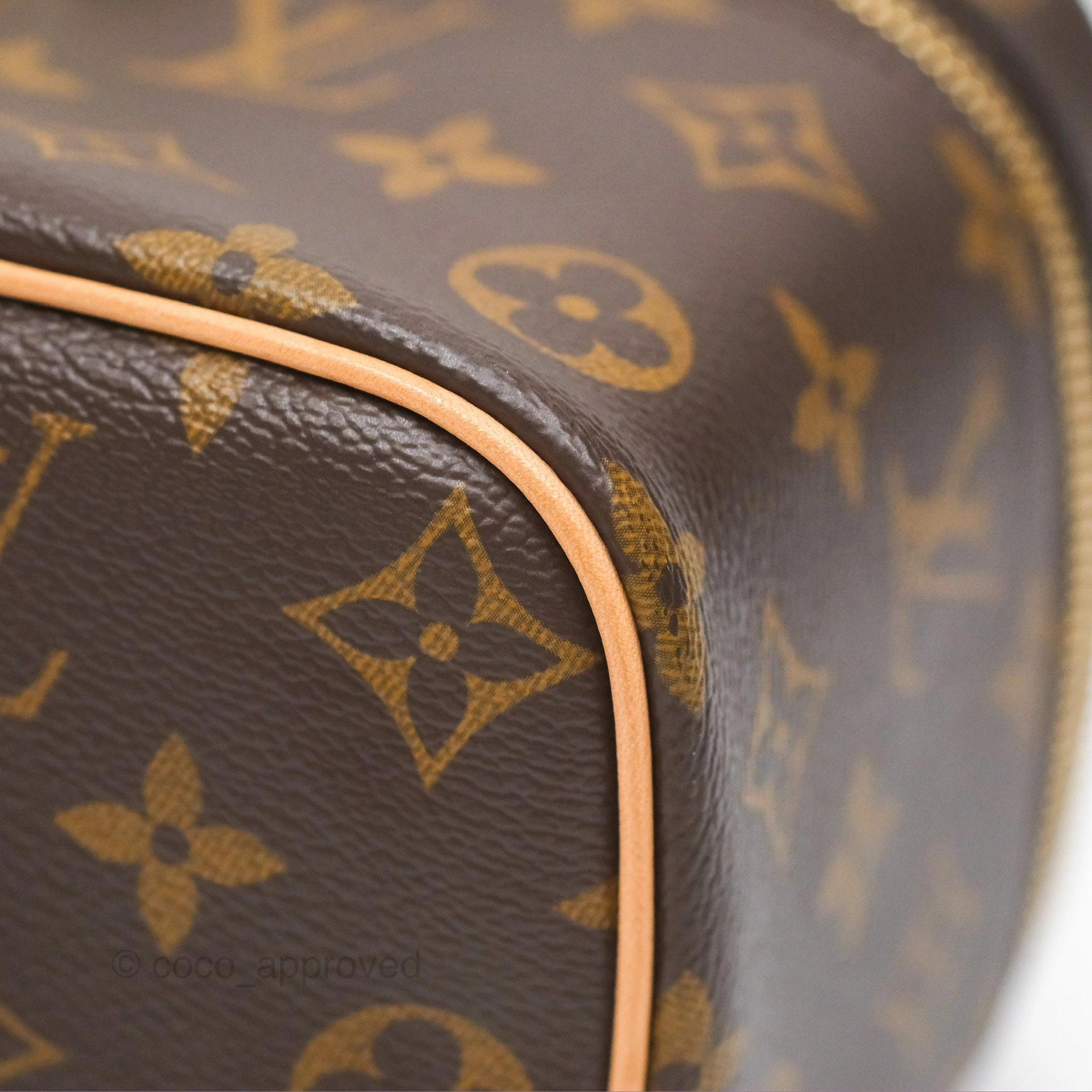 Louis Vuitton Monogram Nice Mini