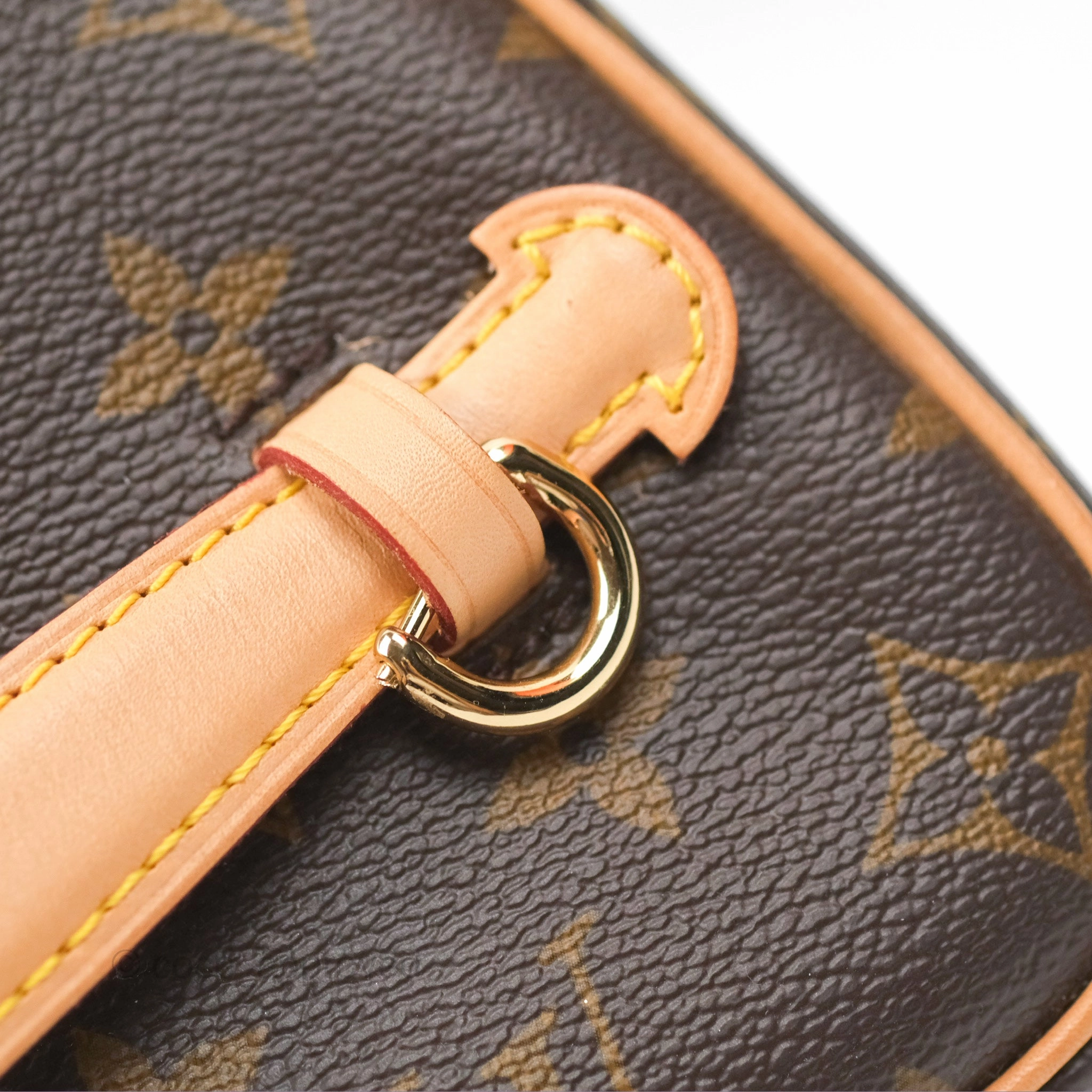 Louis Vuitton Monogram Nice Mini