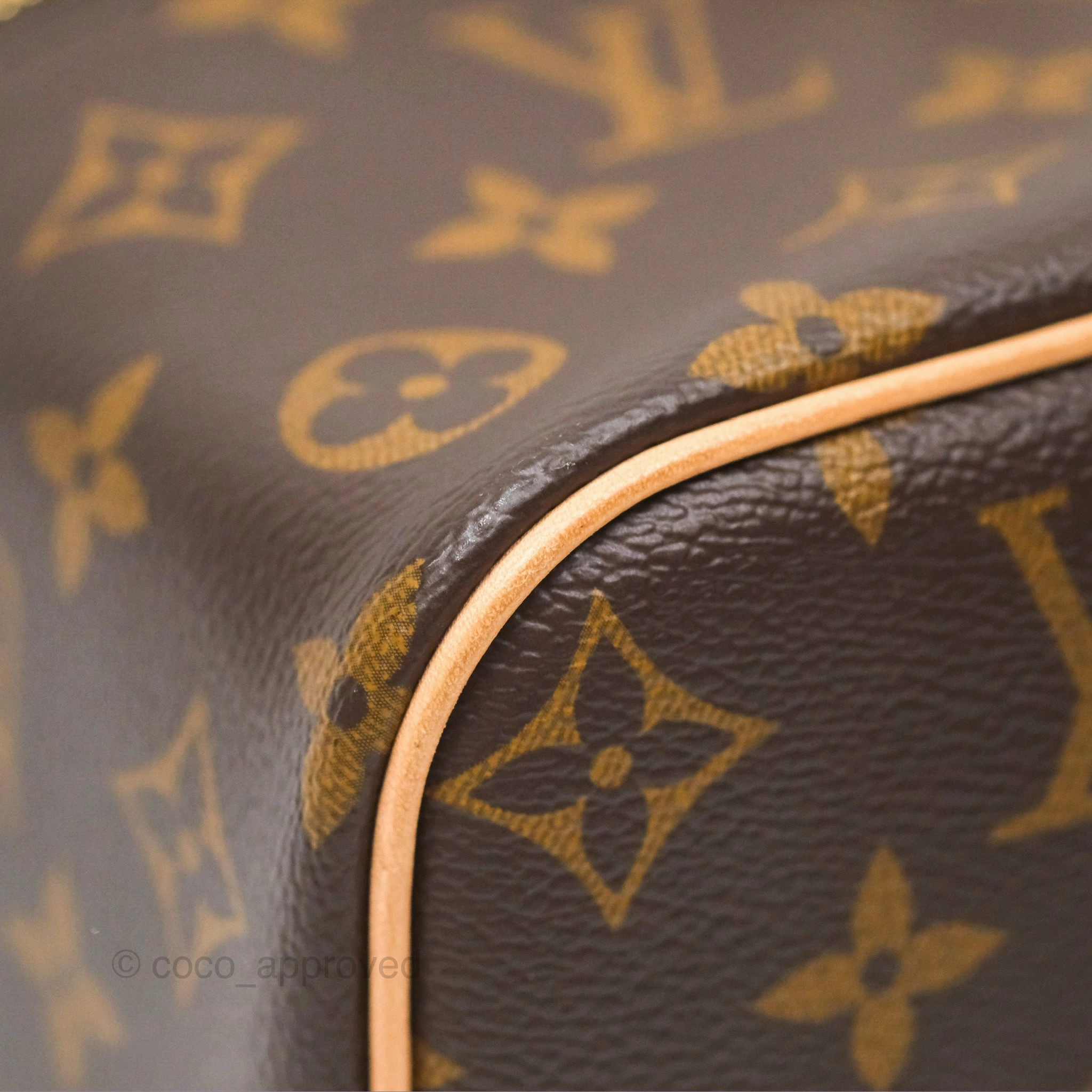Louis Vuitton Monogram Nice Mini